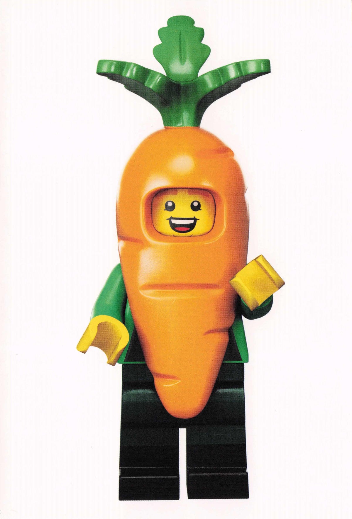 Carrot Fancy Dress Suit Man Turnip Vegetable Toy Lego Model Quotation Postcard