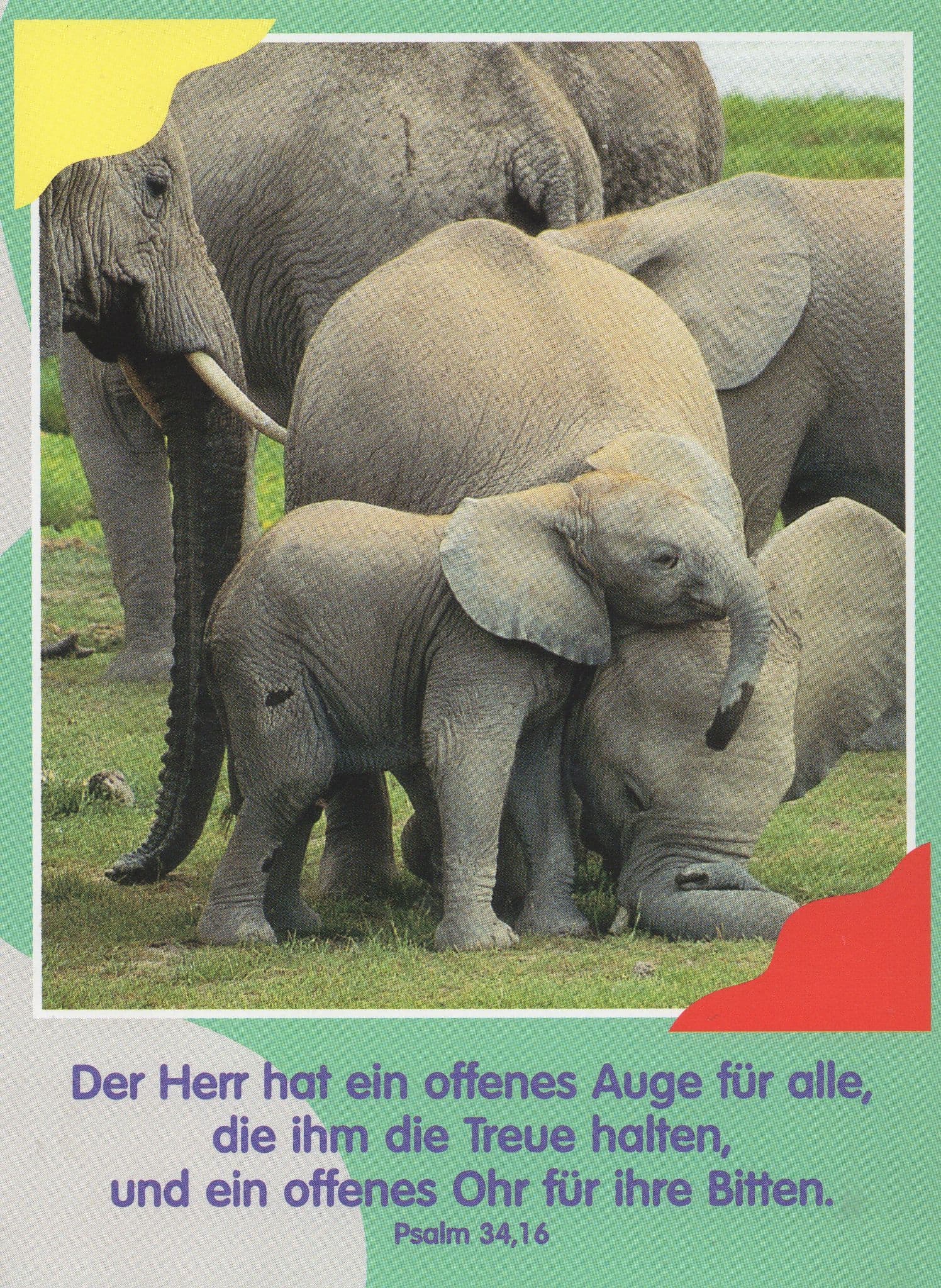 German Comic Religious Psalm Elephant Humour Postcard