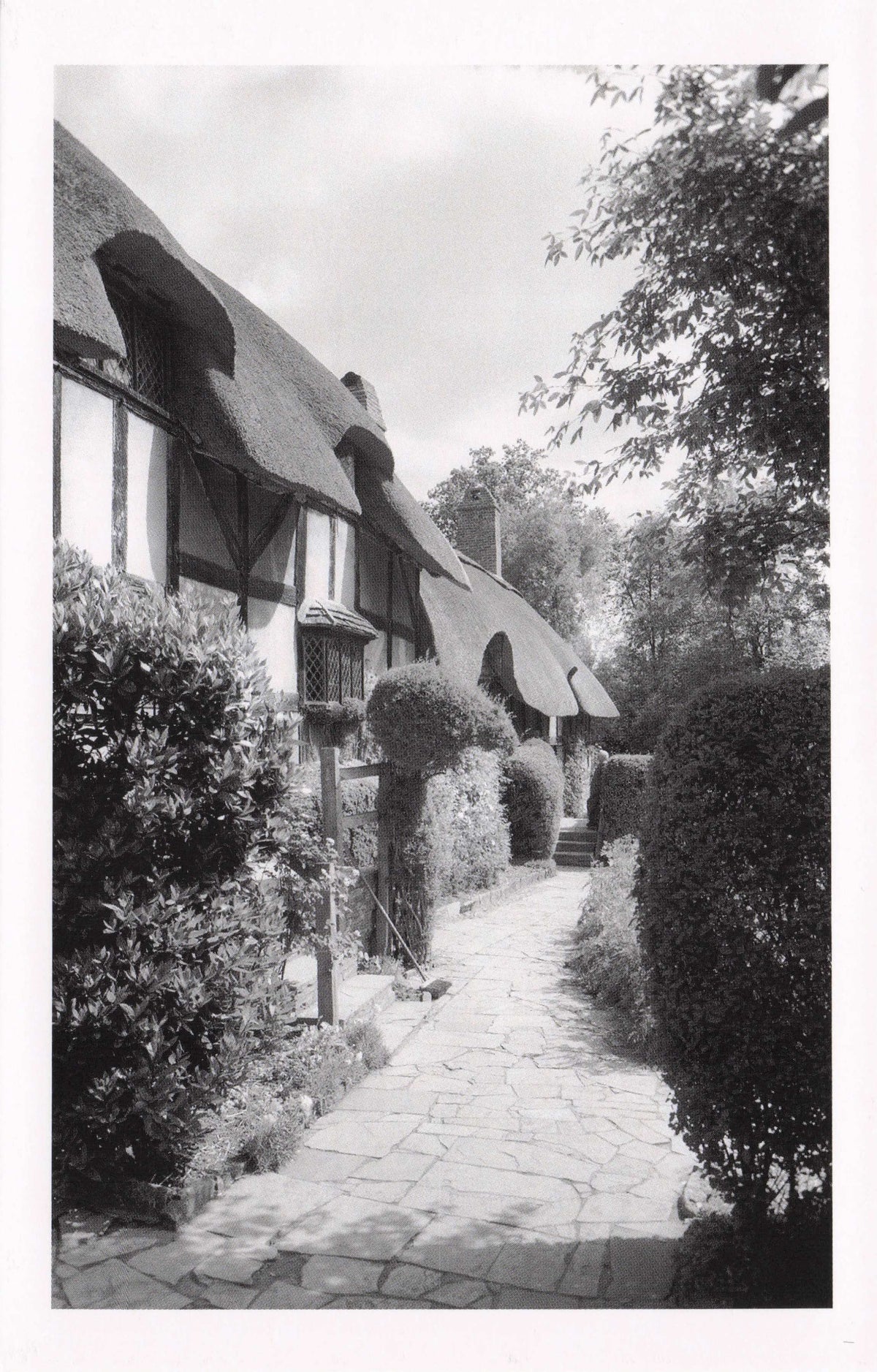 Anne Hathaways Cottage Stratford Upon Avon Warwickshire Award Photo Postcard