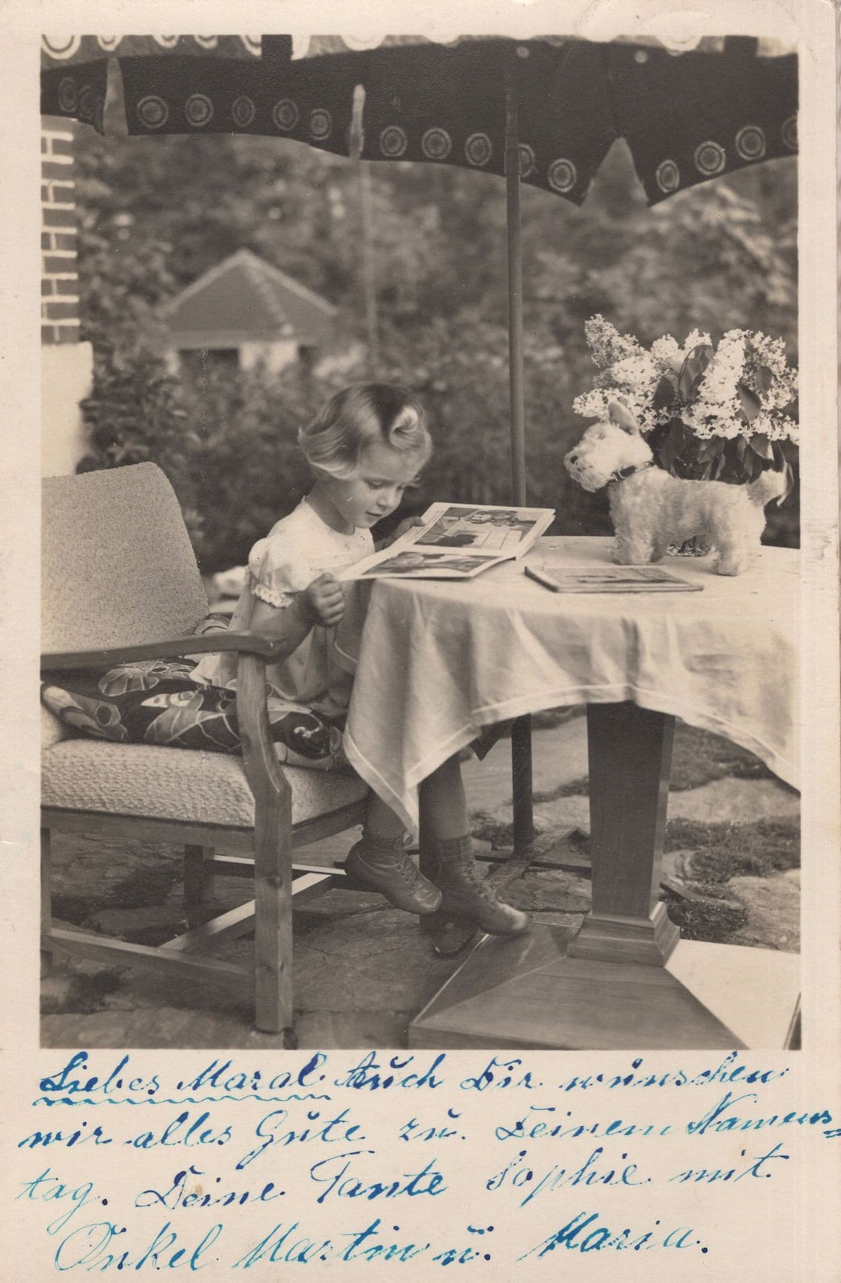1949 German Child & Toy Pet Dog Poodle On Dinner Table Postcard