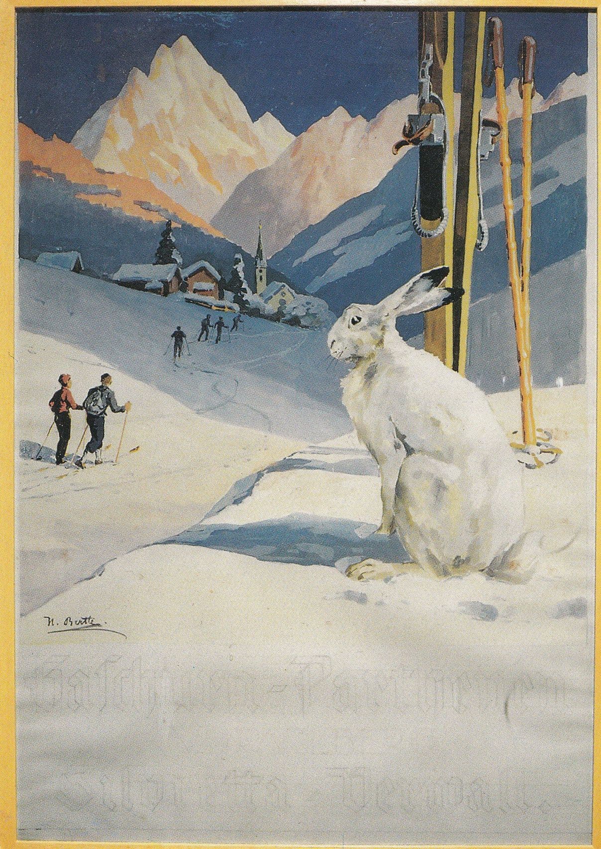 Giant German Rabbit Watches Skiing Skiers Germany Postcard