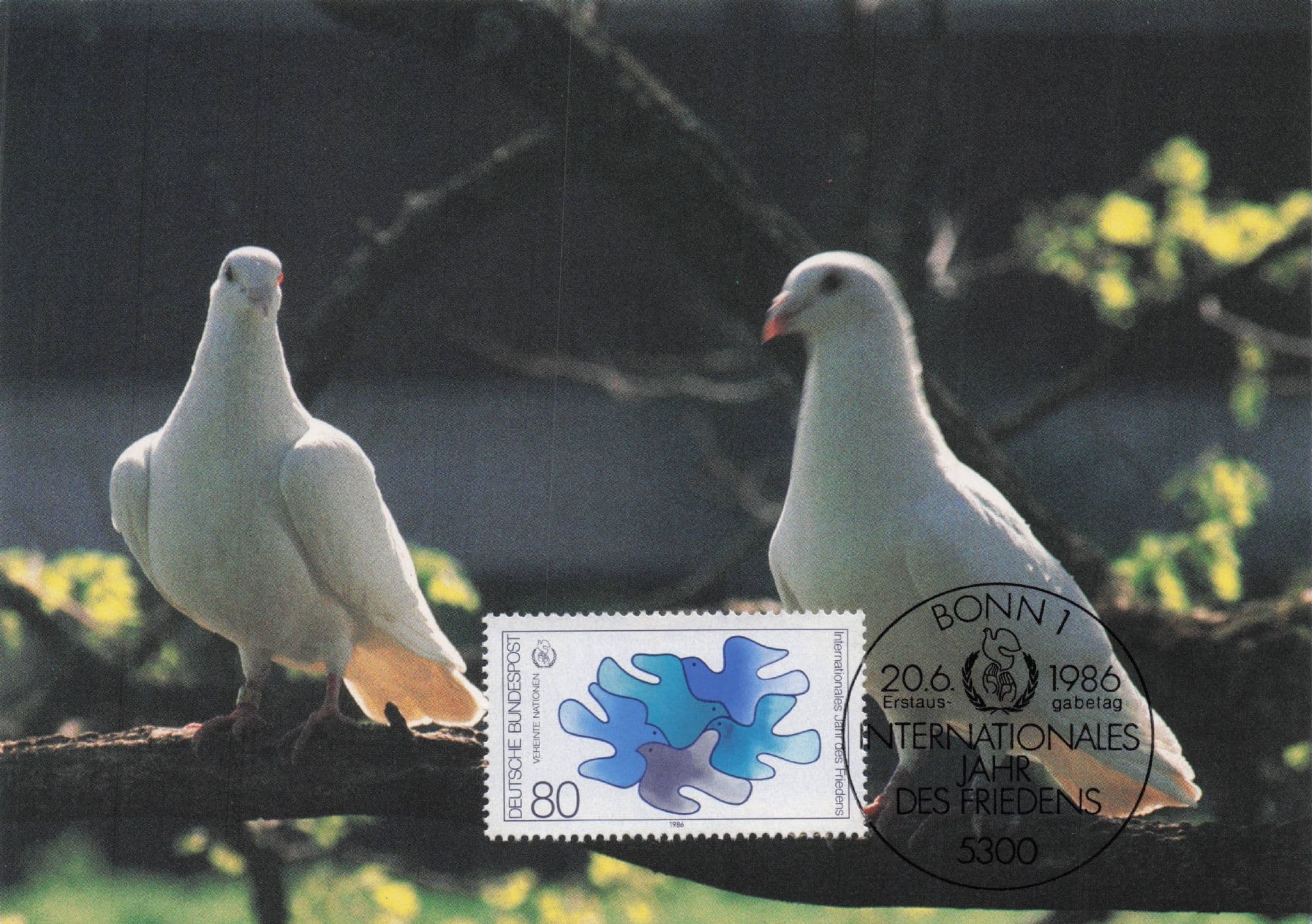 1986 German Internationale Jahr Des Friedens White Bird FDC Postcard