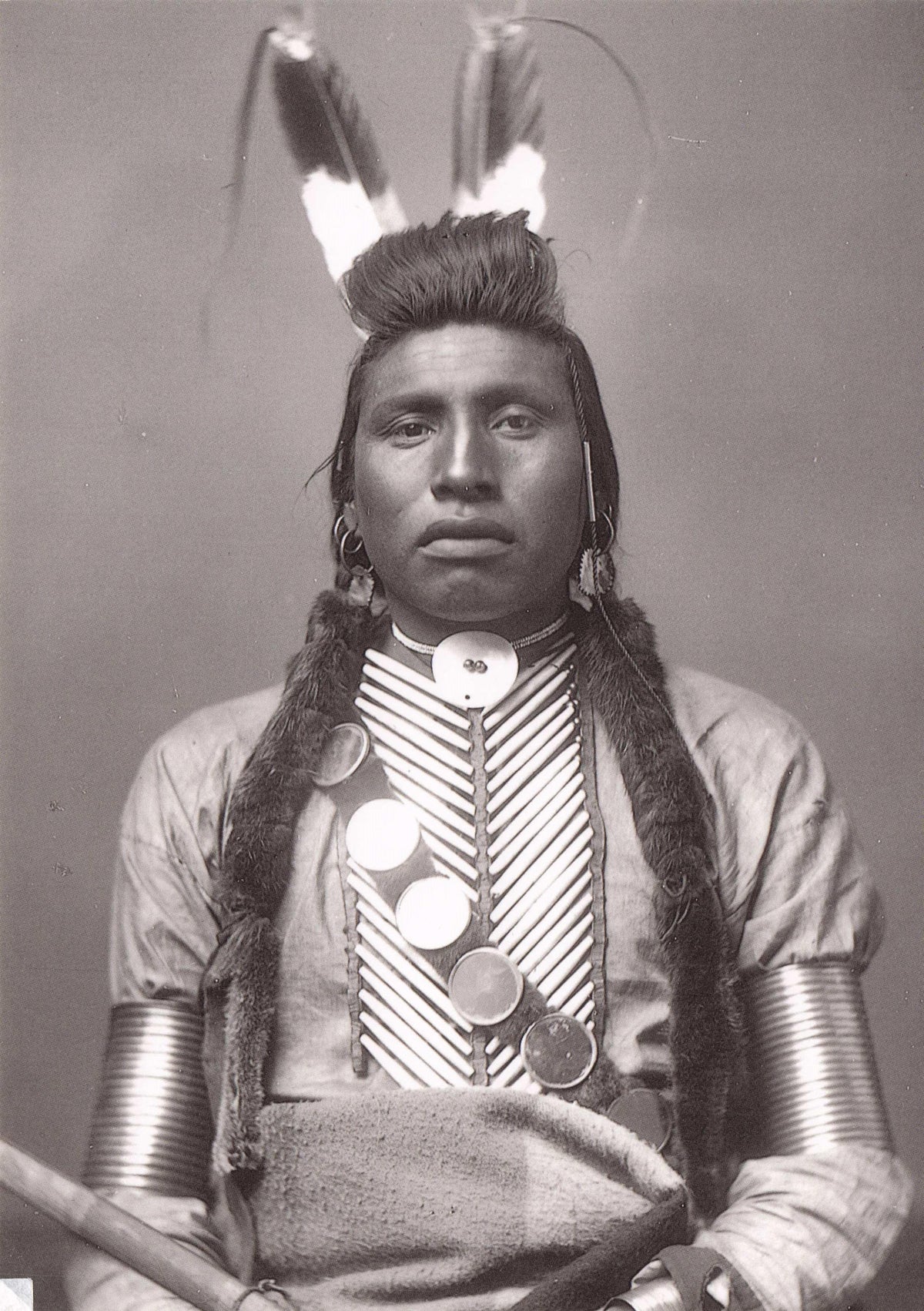 Chief White Old Bull Sioux Indian in 1883 Otter Skin Hair Native American Postcard