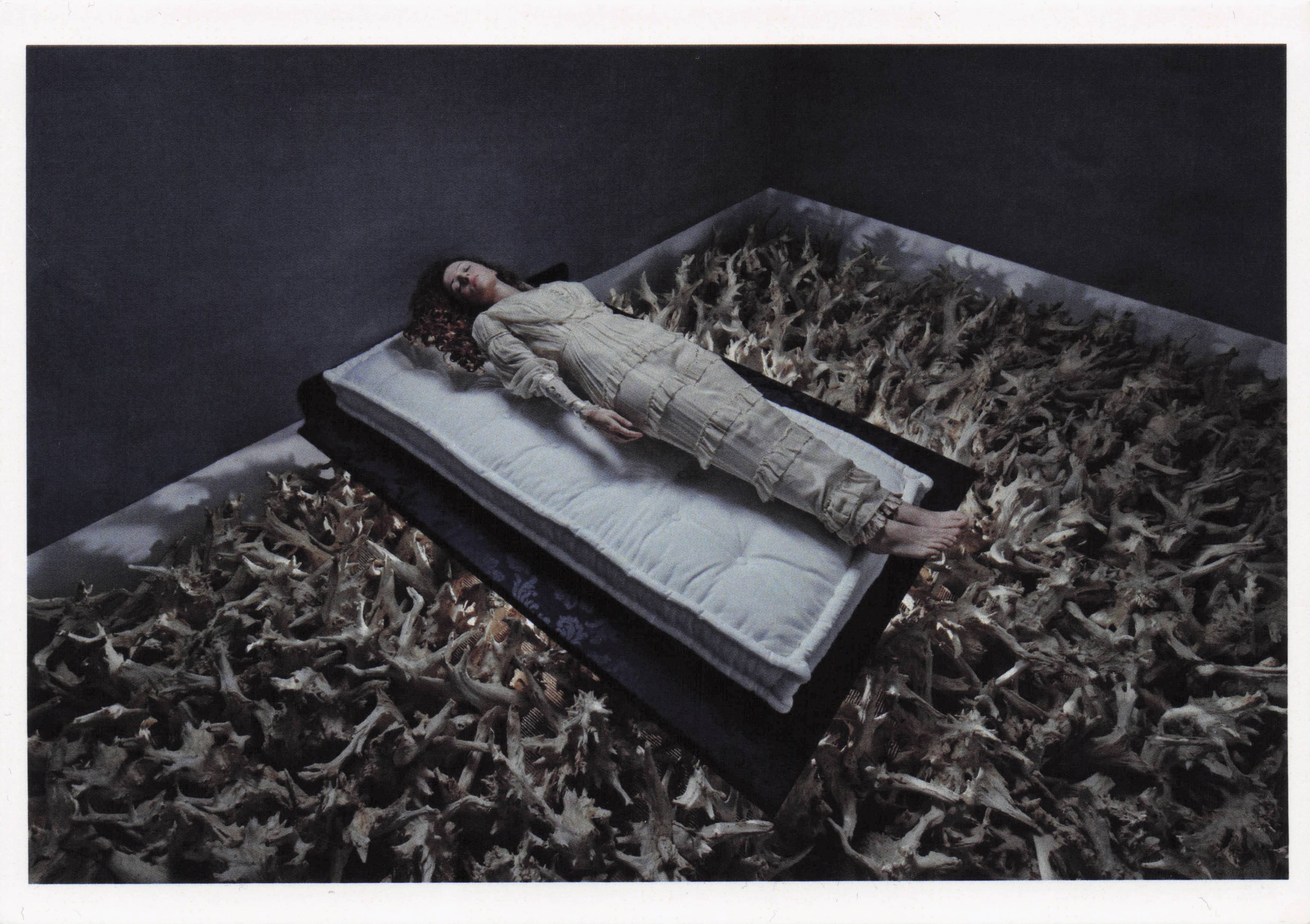 Sleeping Beauty Gothic Vampire Coffin Horror Photo Award Art Postcard