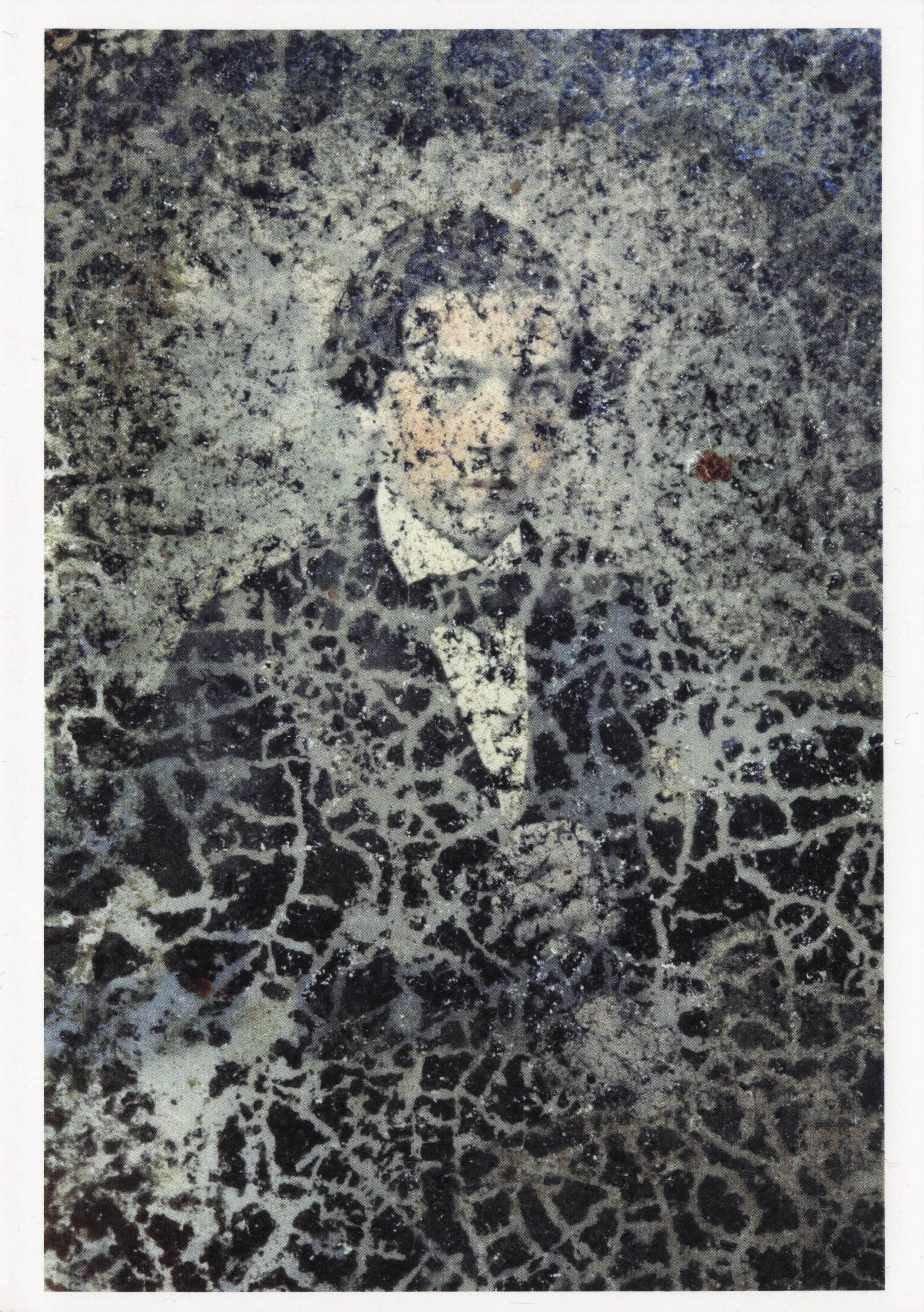 Fragmented Posh Man Distant Cousins Art Photo Award Postcard