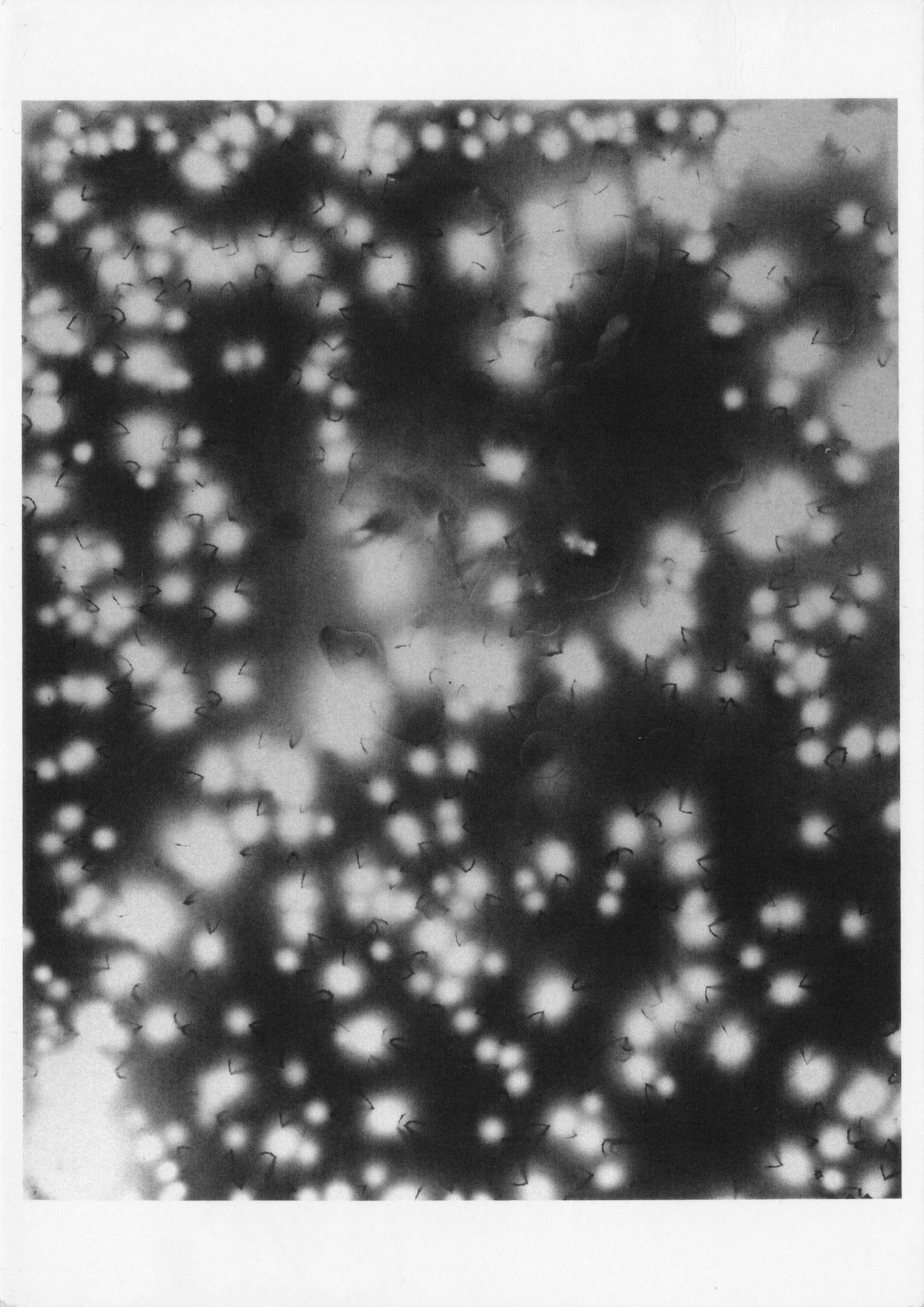 Higher Ground Bioluminescent Light Surrealist Photo Art Award Postcard