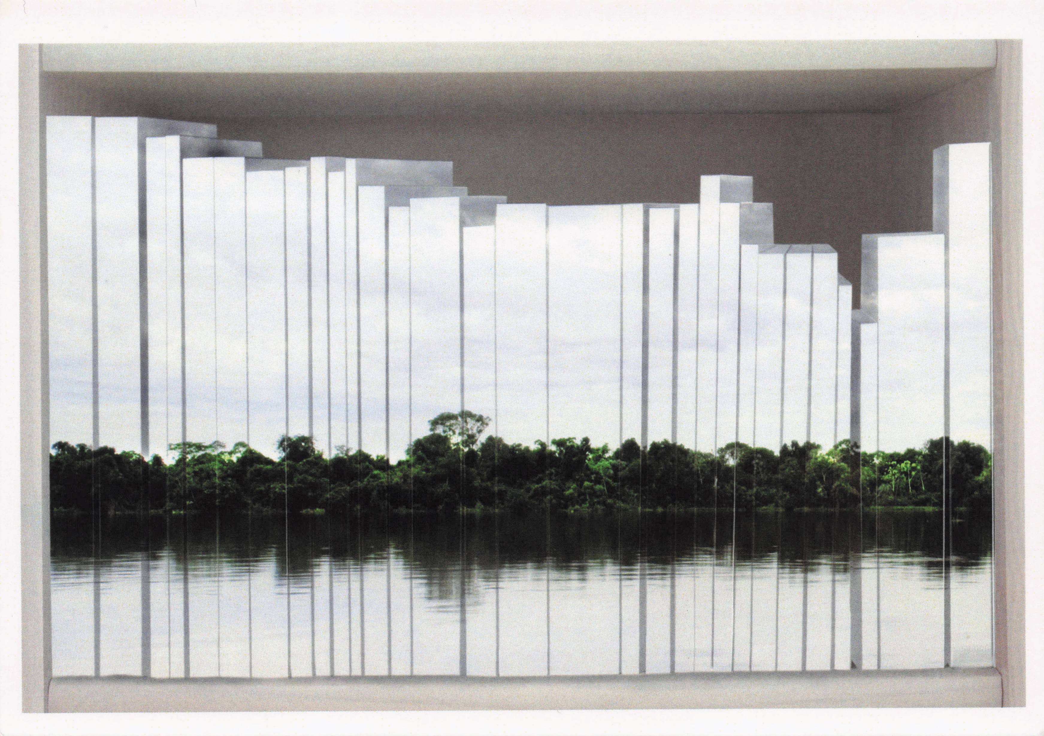 Sao Paulo Landscape Pantanal Rio De Janeiro Photo Art Award Postcard
