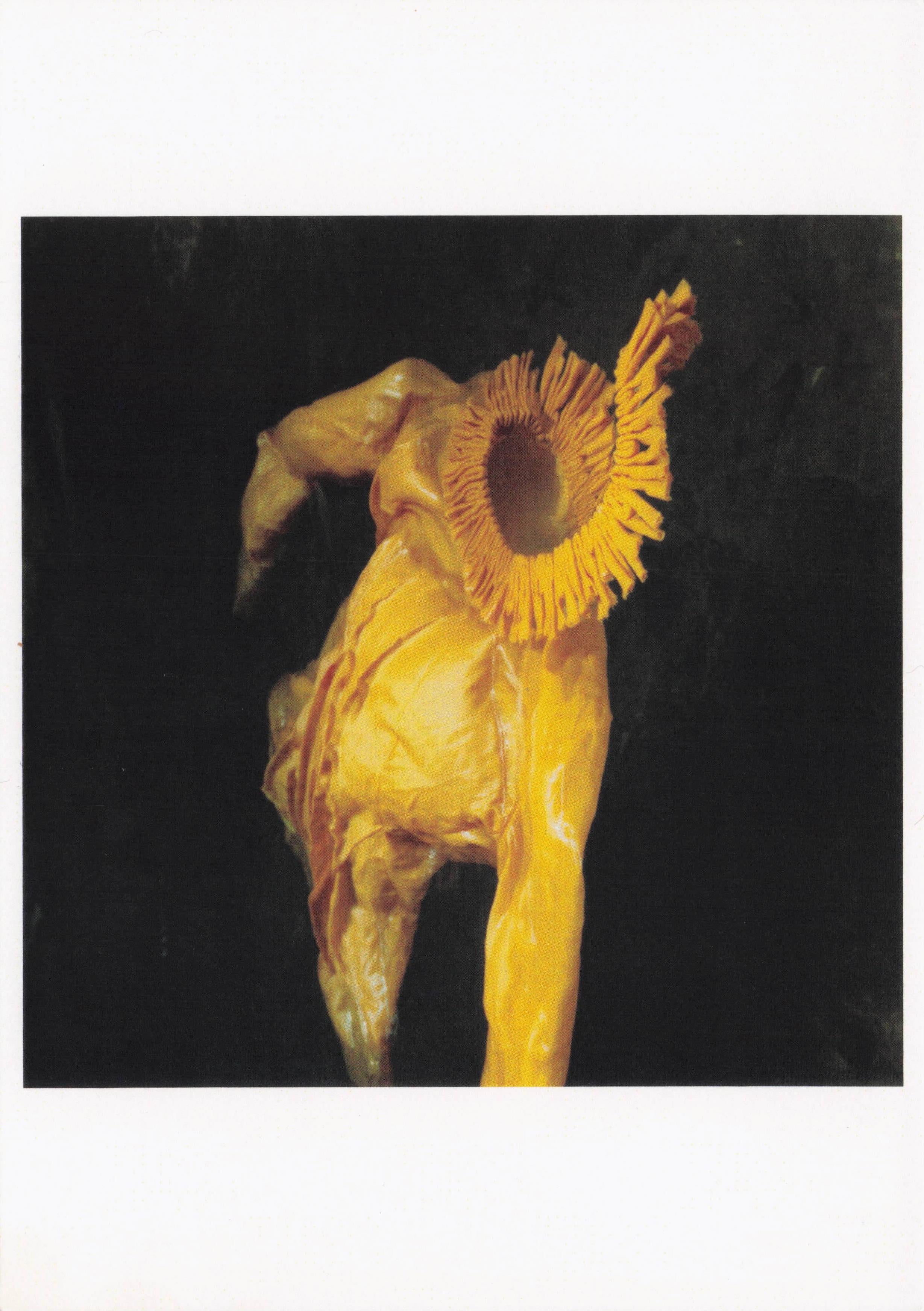 Brazil Levitation Mystic Creature Photographic Art Award Postcard