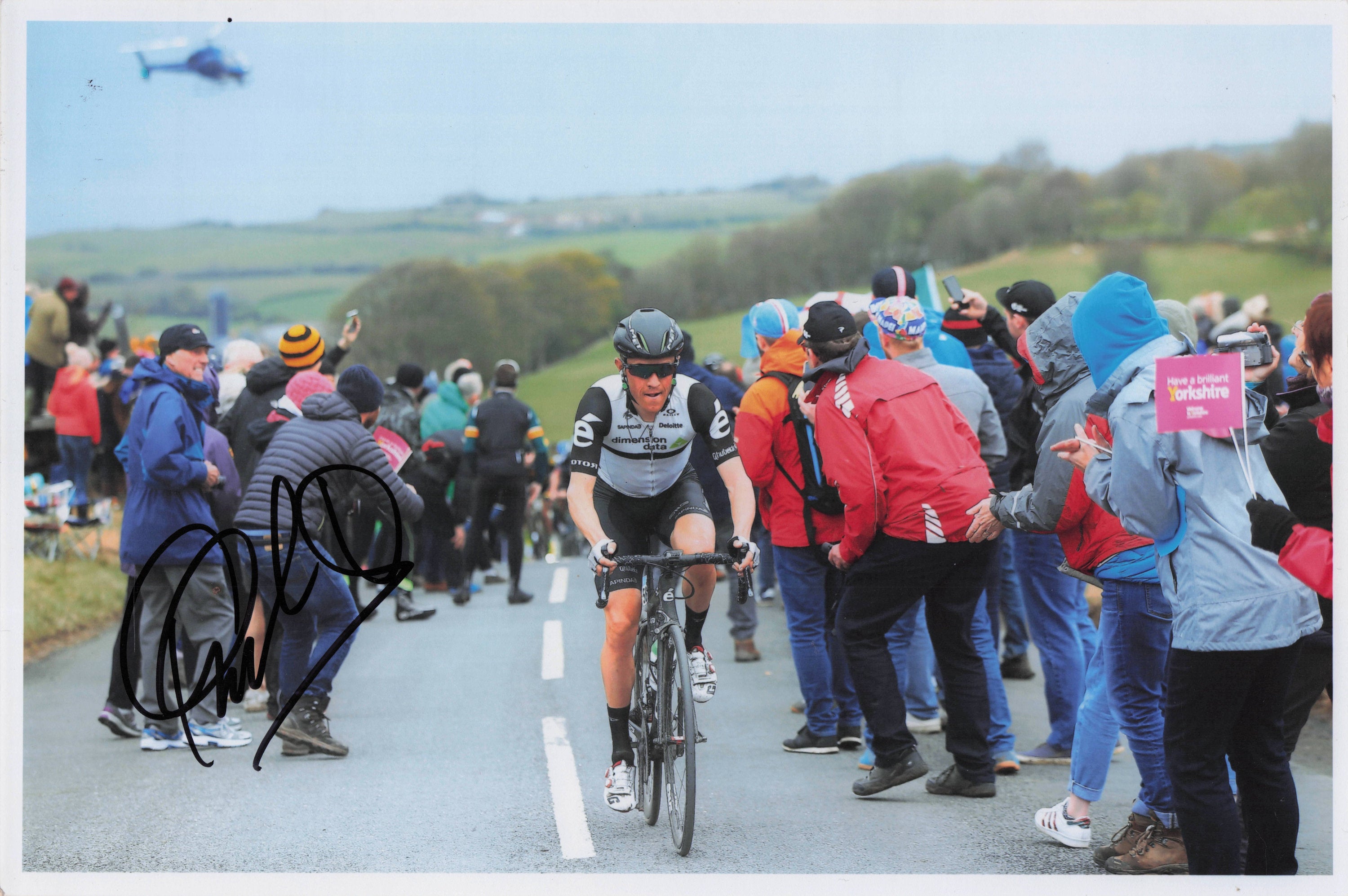Serge Pauwels Belgium Cyclist 2016 Tour De Yorkshire 12x8 Hand Signed Photo