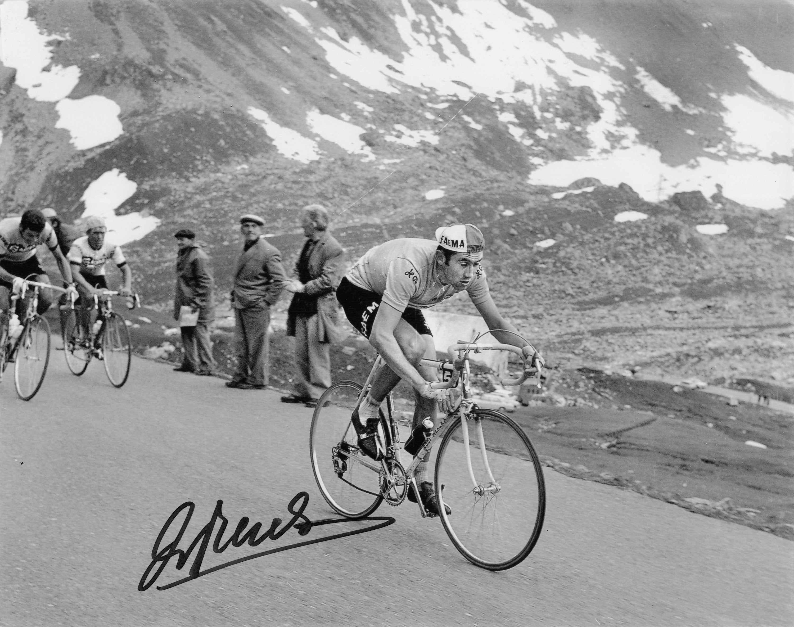 Eddie Merckx Belgium Cyclist 1969 Tour De France Win 10x8 Hand Signed Photo