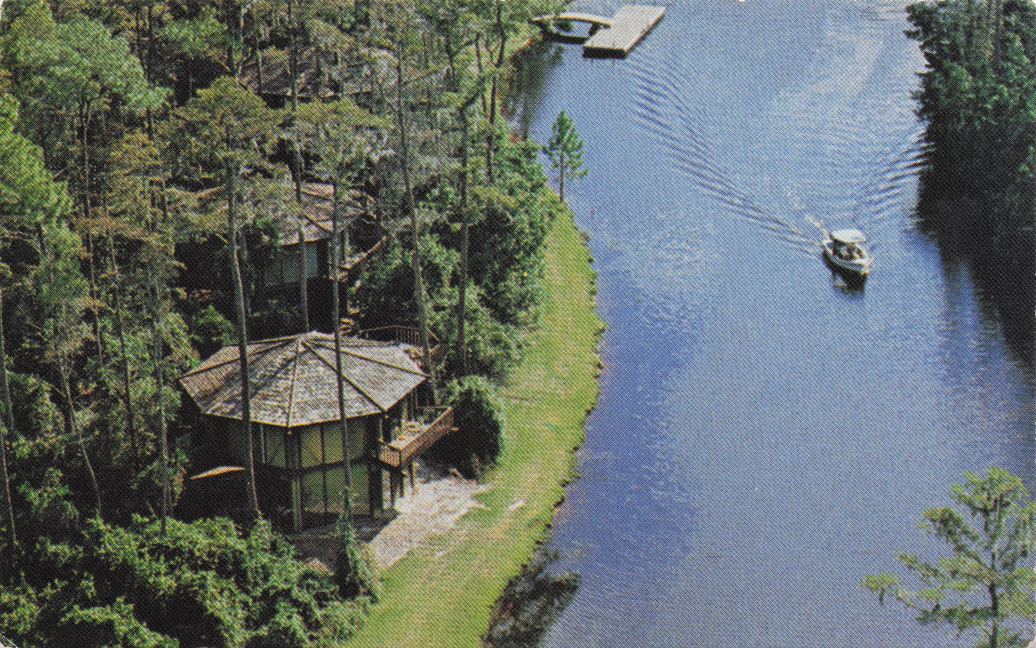 Treetop Hideaways Buena Vista Lake Walt Disney World Postcard
