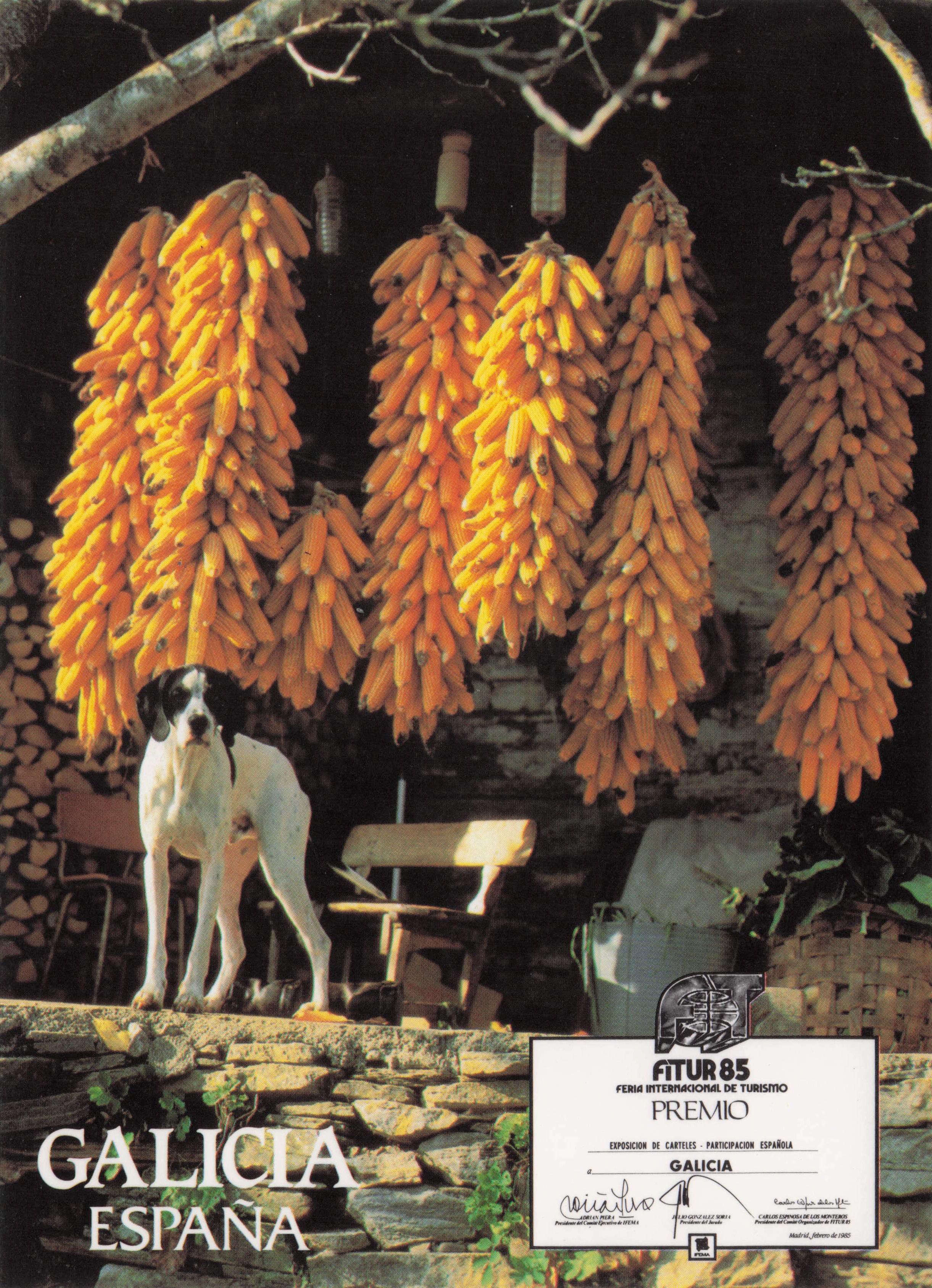 Galicia Spain Tourism Board Dog Advertising Postcard