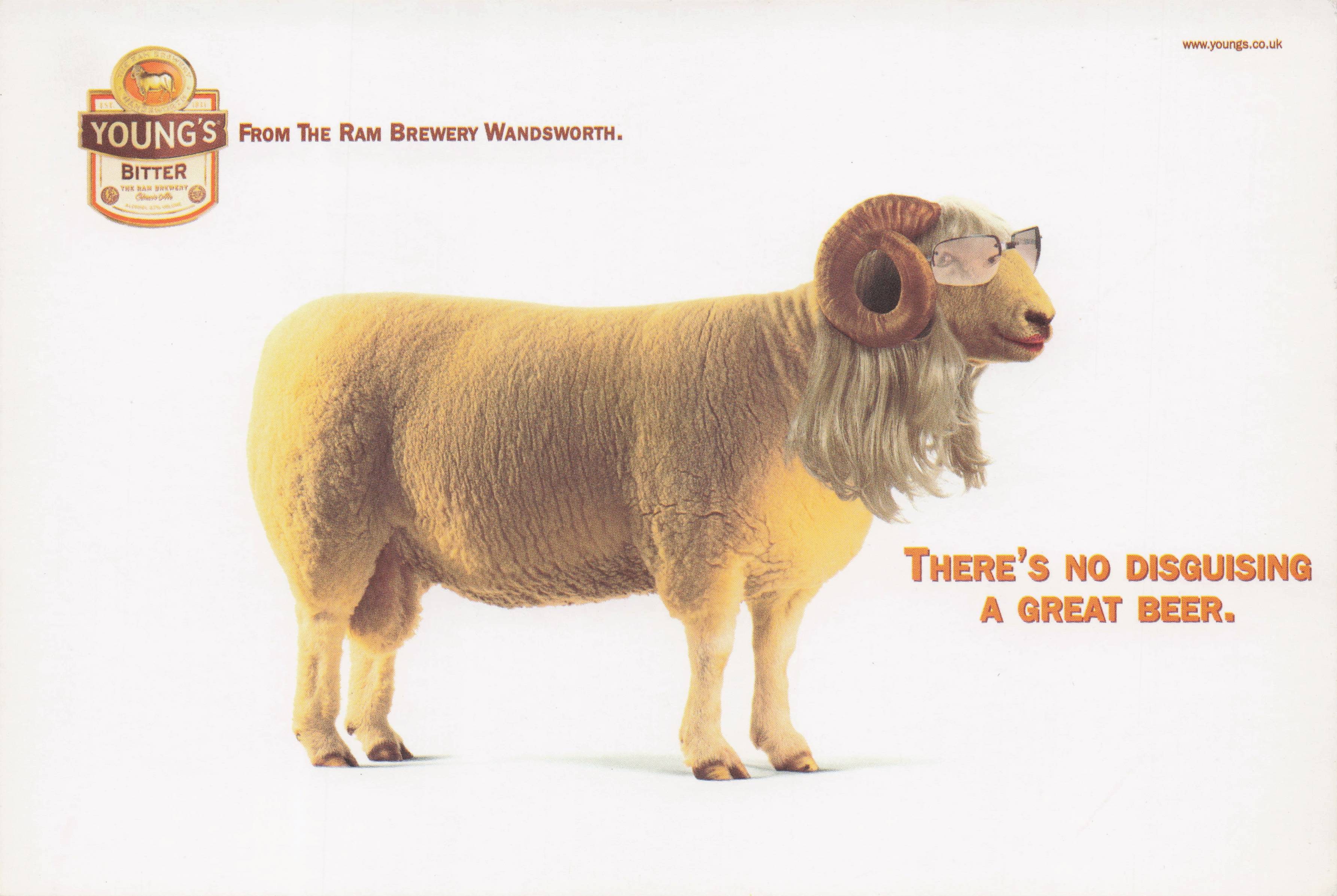 Sheep With Spectacles Young's Bitter Beer Comic Advertising Postcard