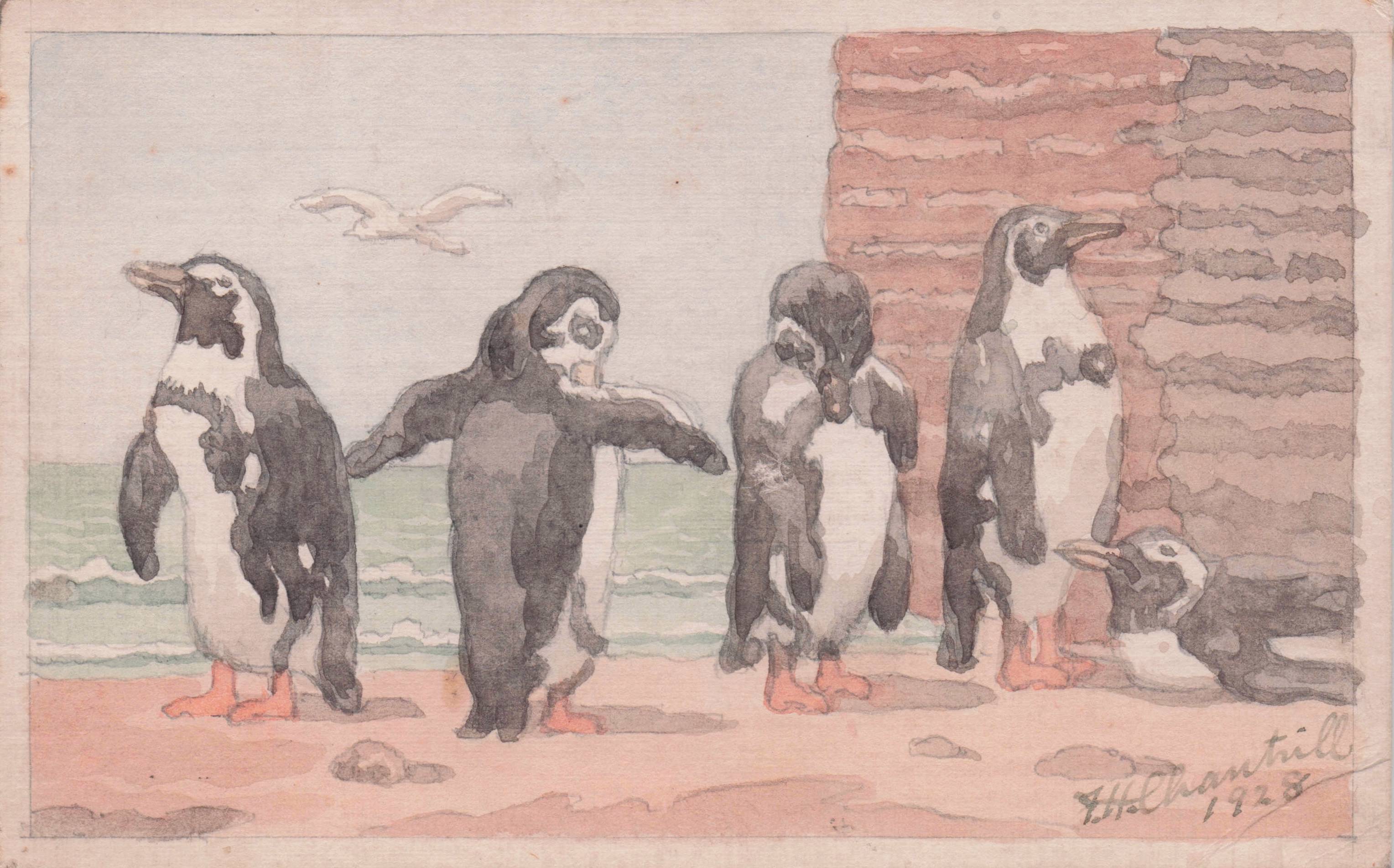 Penguins Sea Life Hand Drawn Painting Artist 1928 Old Postcard