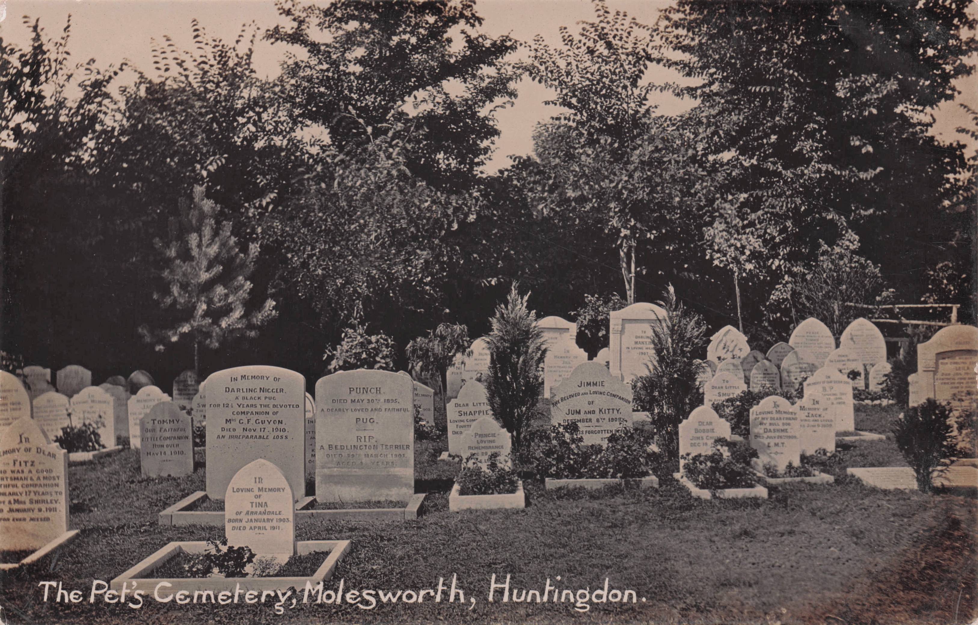 Pets Cemetary Molesworth Huntingdon Animal Graves Antique Postcard