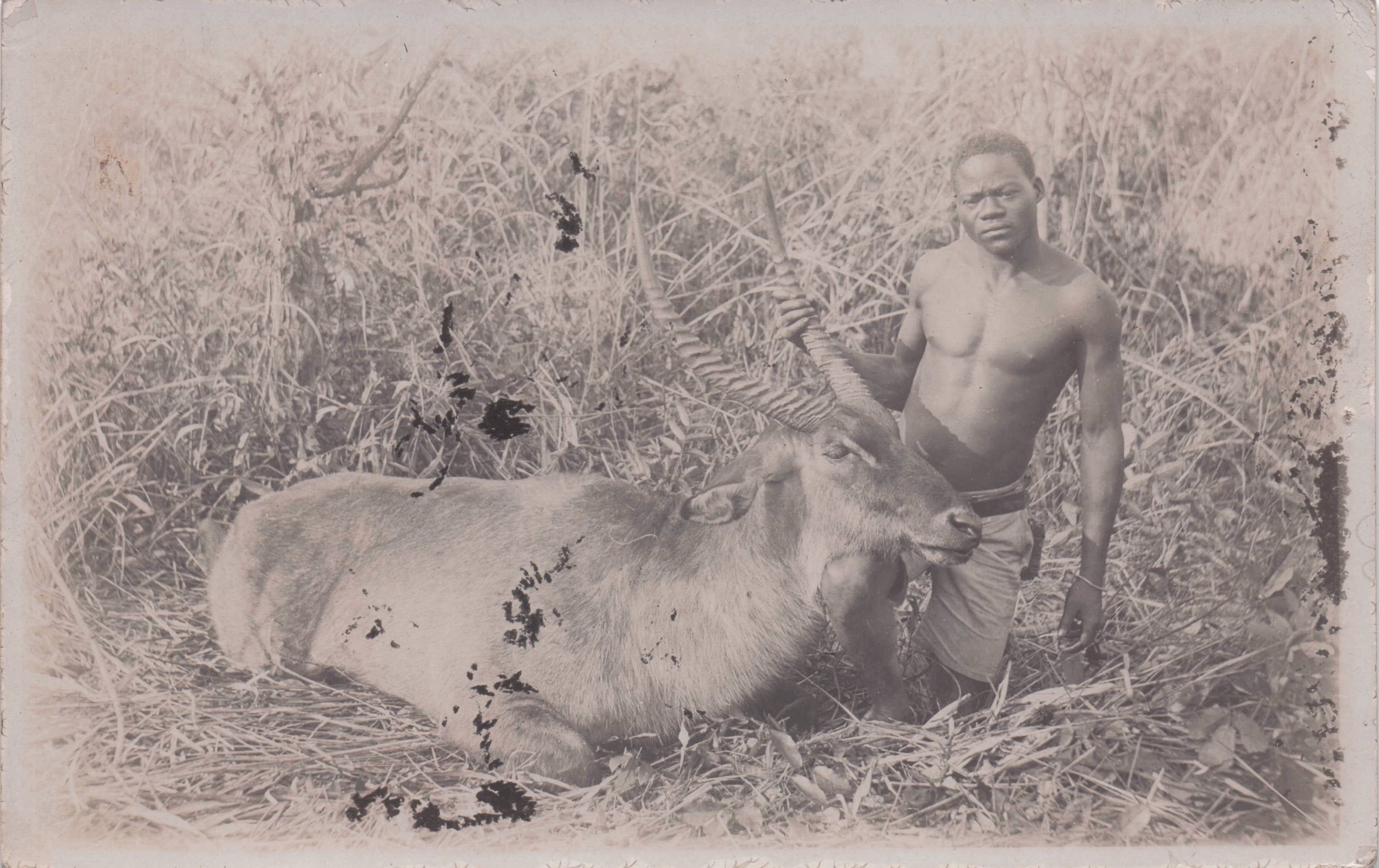 African Hunting Man & Trophy Deer Killed Old RPC Postcard