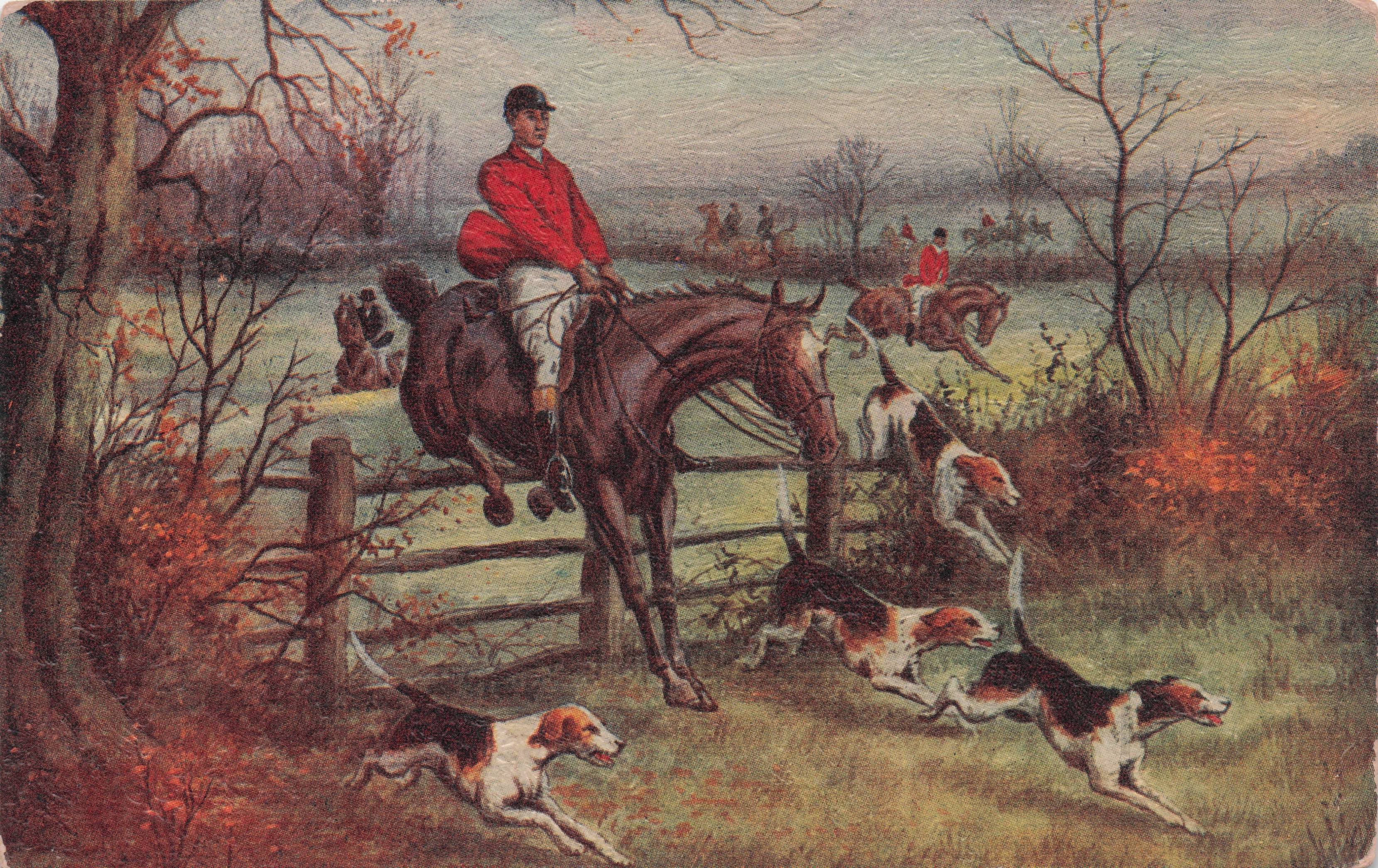Fox Hunting Dogs Horse Jumping Fence Old Oilette At Postcard