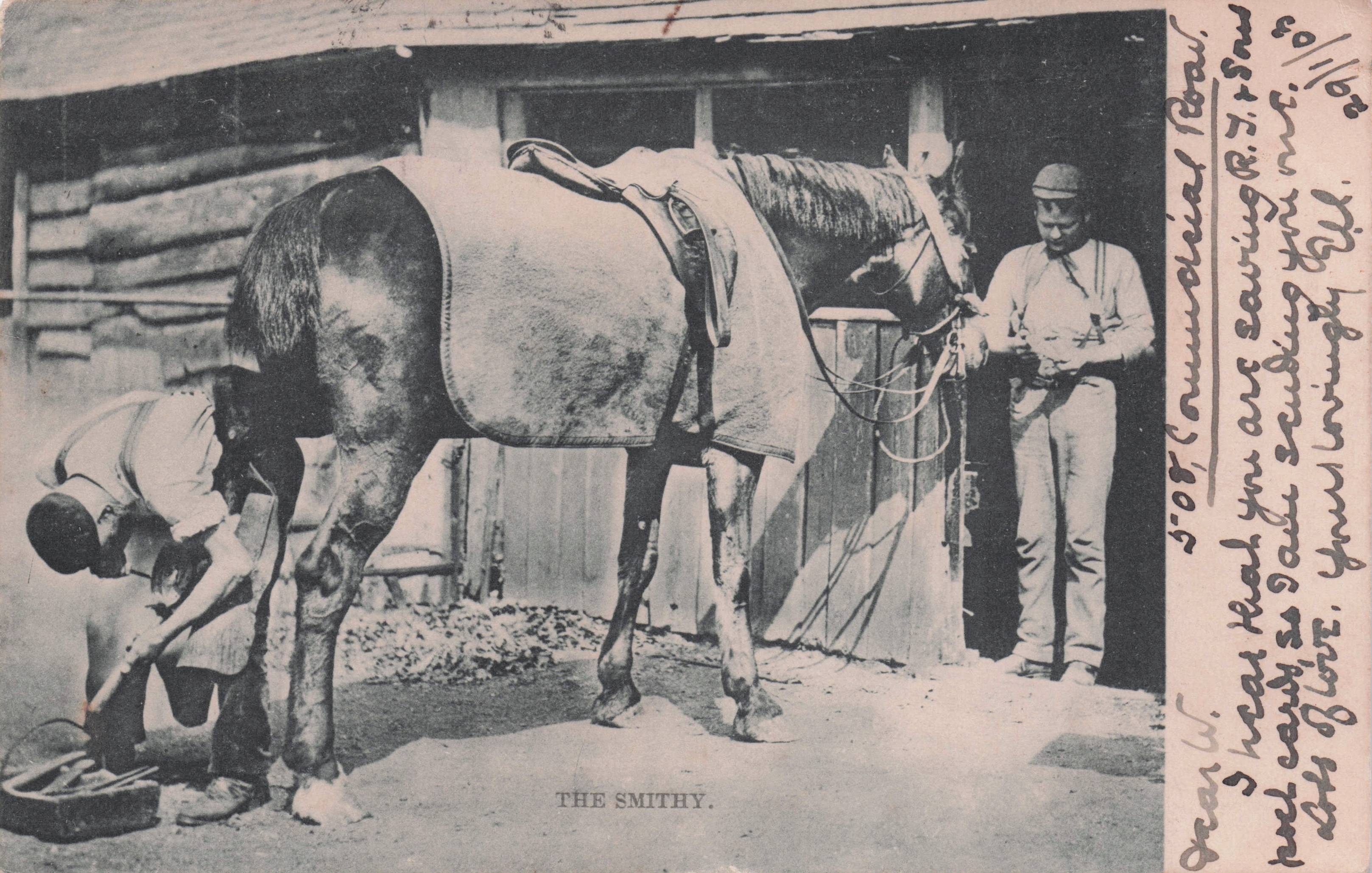 Horse Smithy Stables 1903 Portsmouth Sent Tucks Antique Postcard