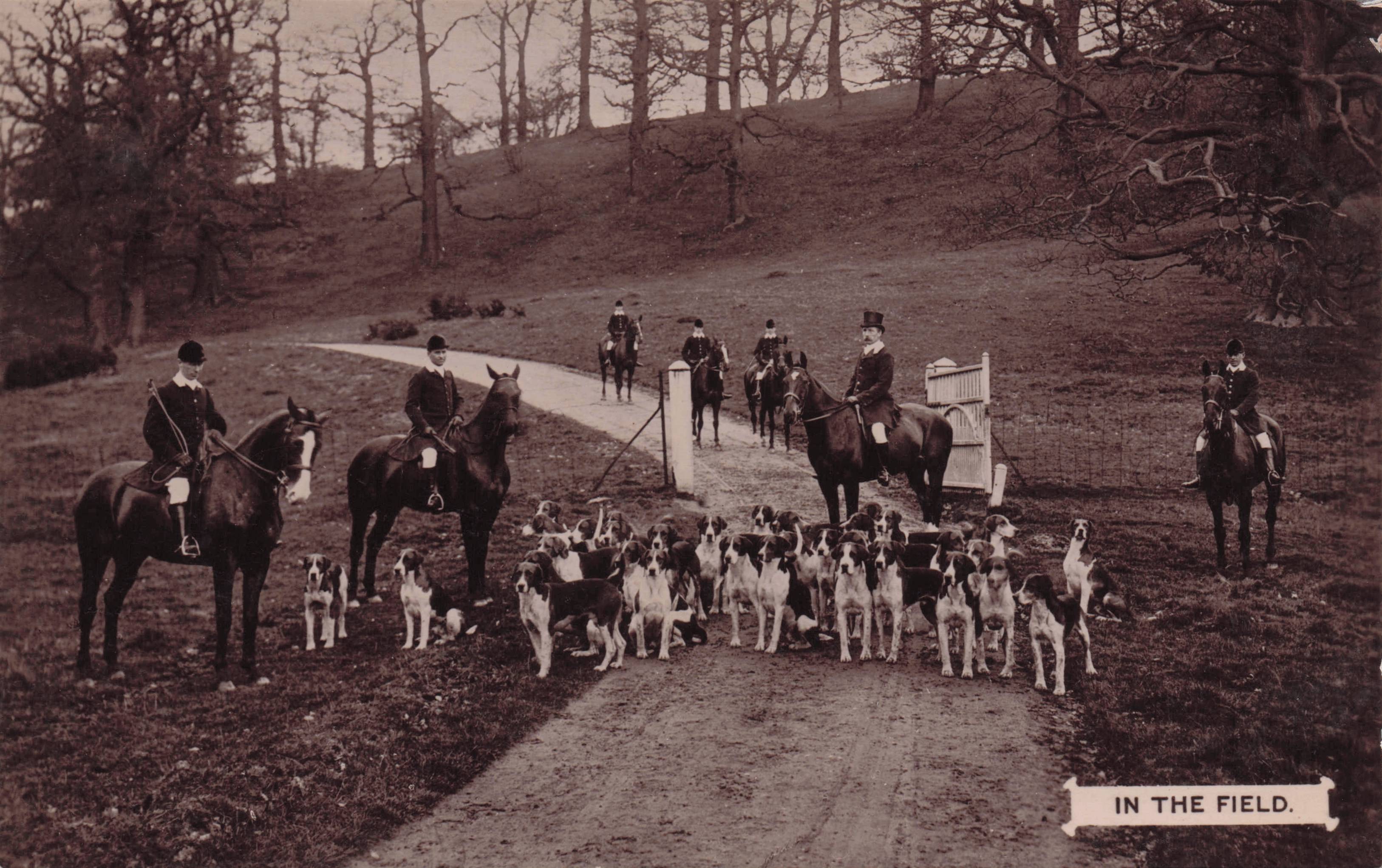 Fox Hunting Dog Horse Party Meet Davidson Bros Real Photo Postcard