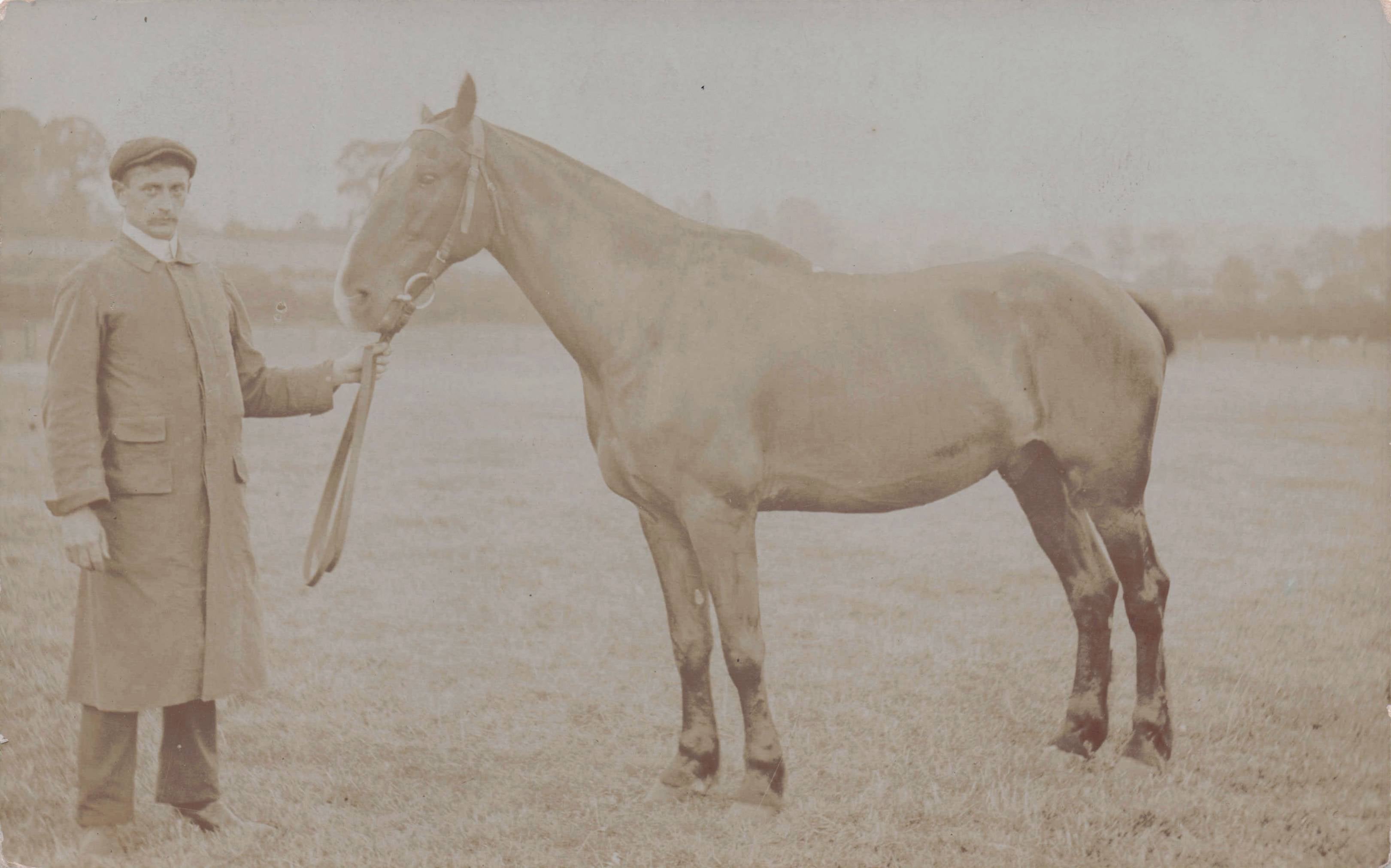 Grumpy Horse Trainer Stables Foreman Antique Real Photo Postcard