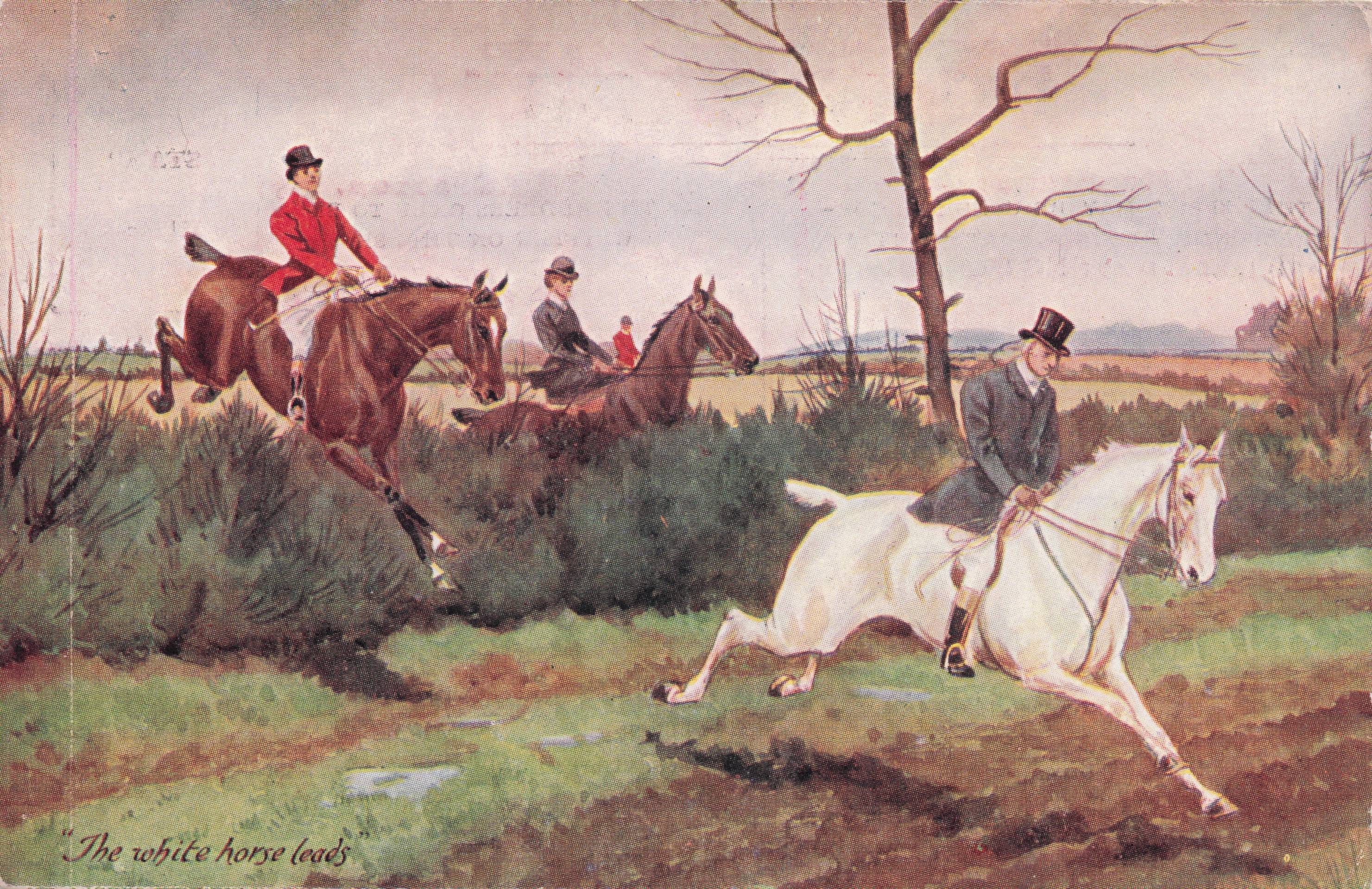 The White Horse Leads Horse Racing & Rider Denmark Old Postcard