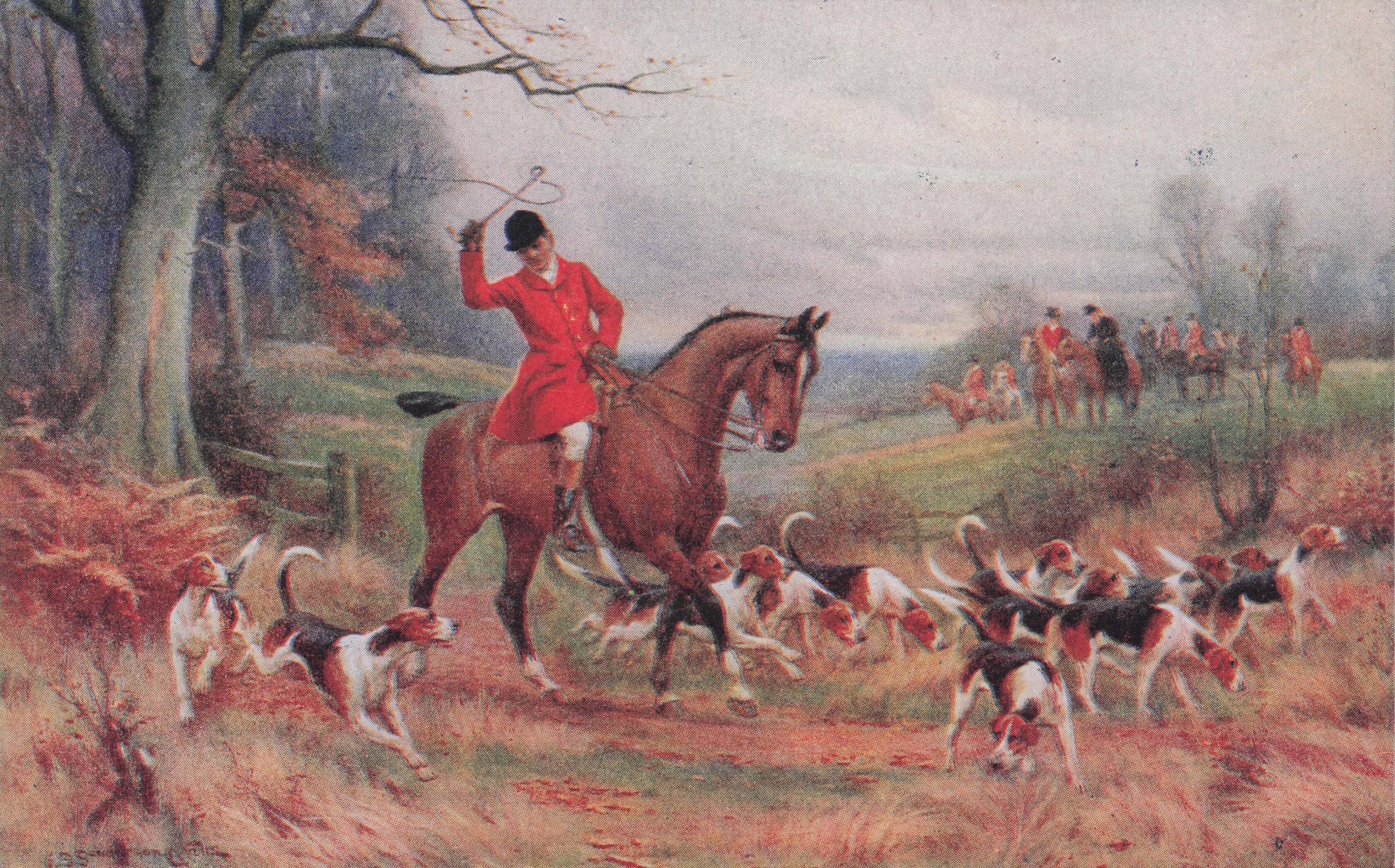 Fox Hunting Man Cracks Whip Scaring Dogs Faulkner Old Postcard