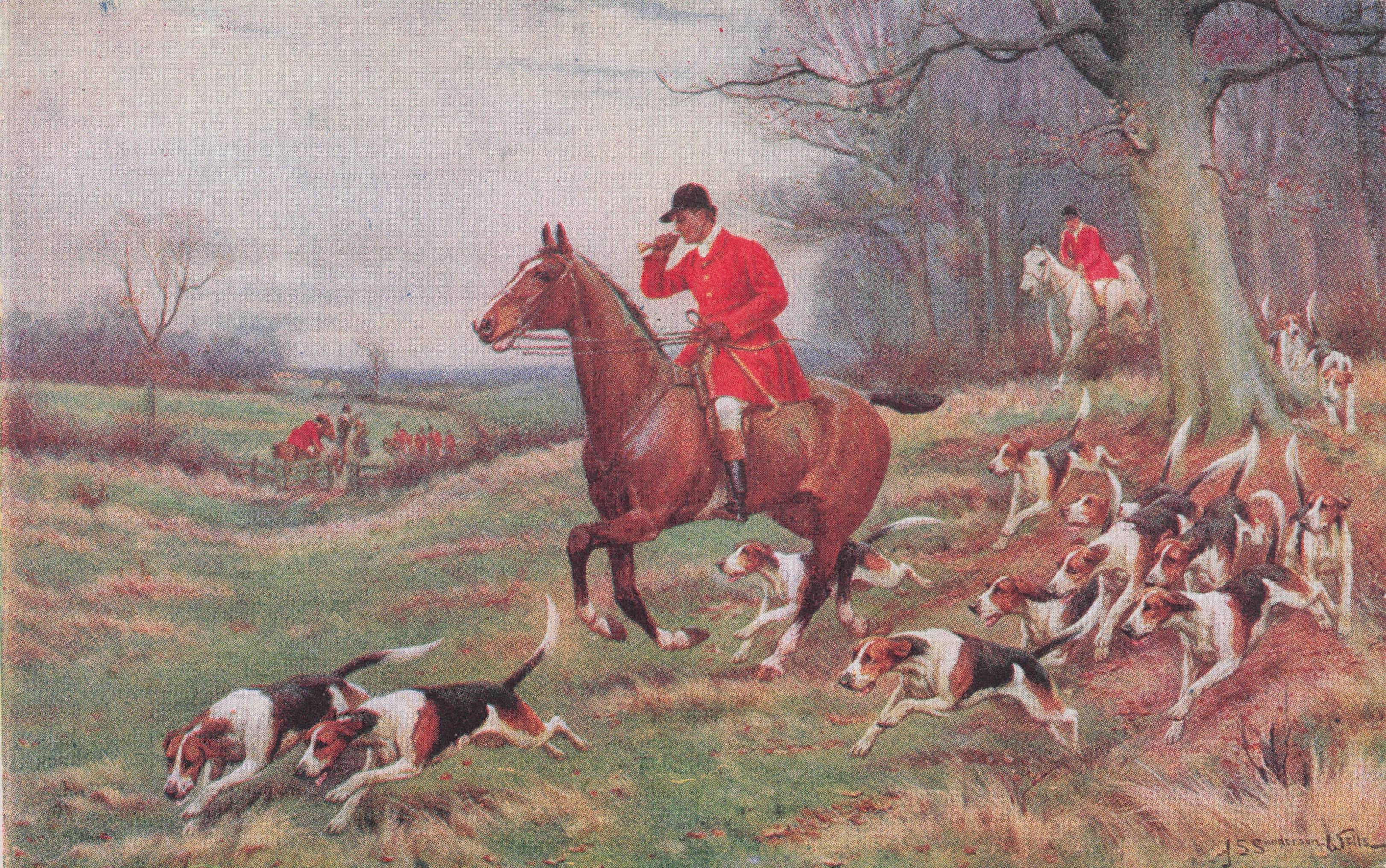 Fox Hunting Leader Horse Rider Blows Bugle Faulkner Old Postcard