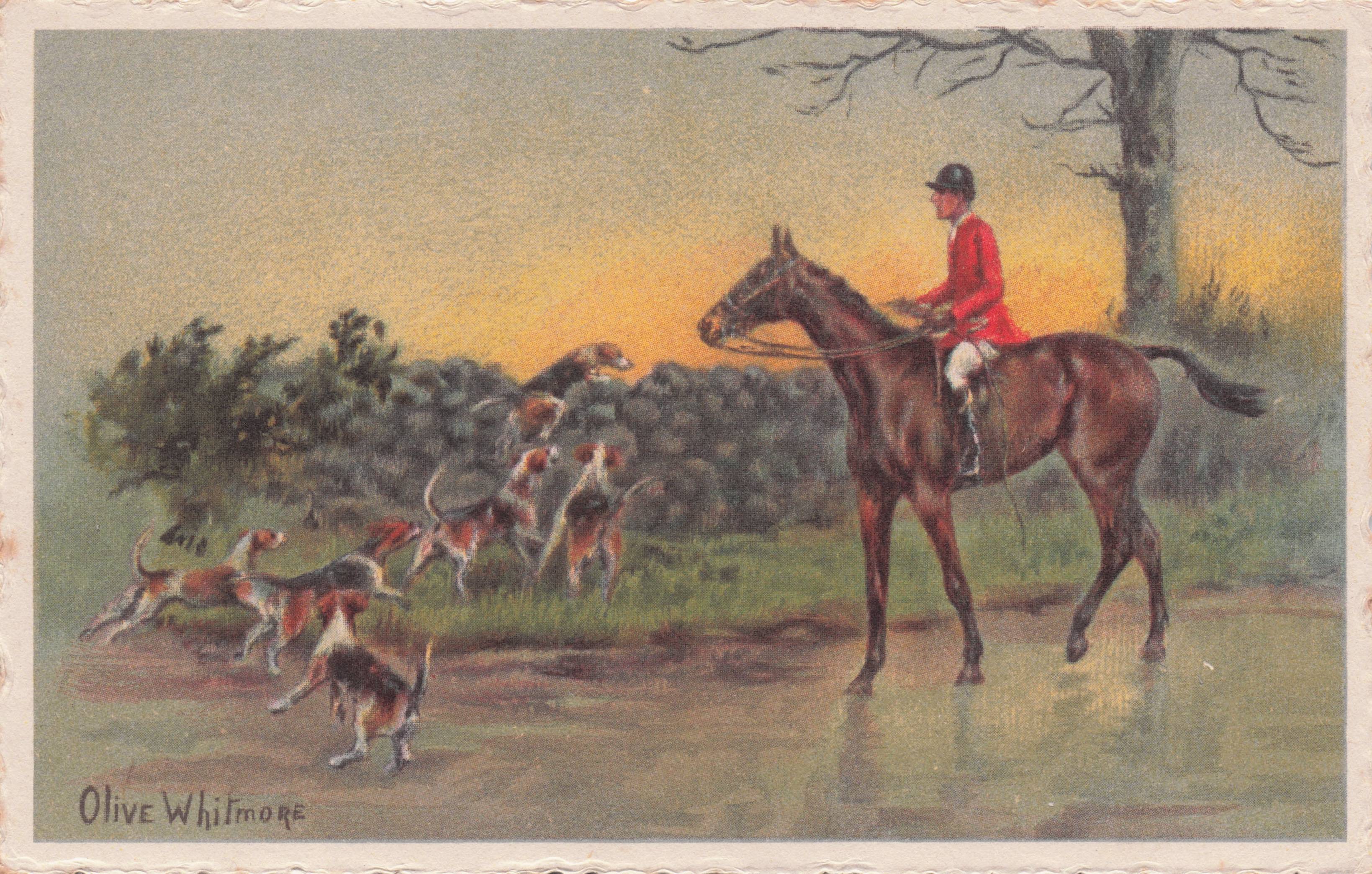 Sniffer Dogs Found Hunting Prey Fox Horse Olive Whitmore Old Postcard