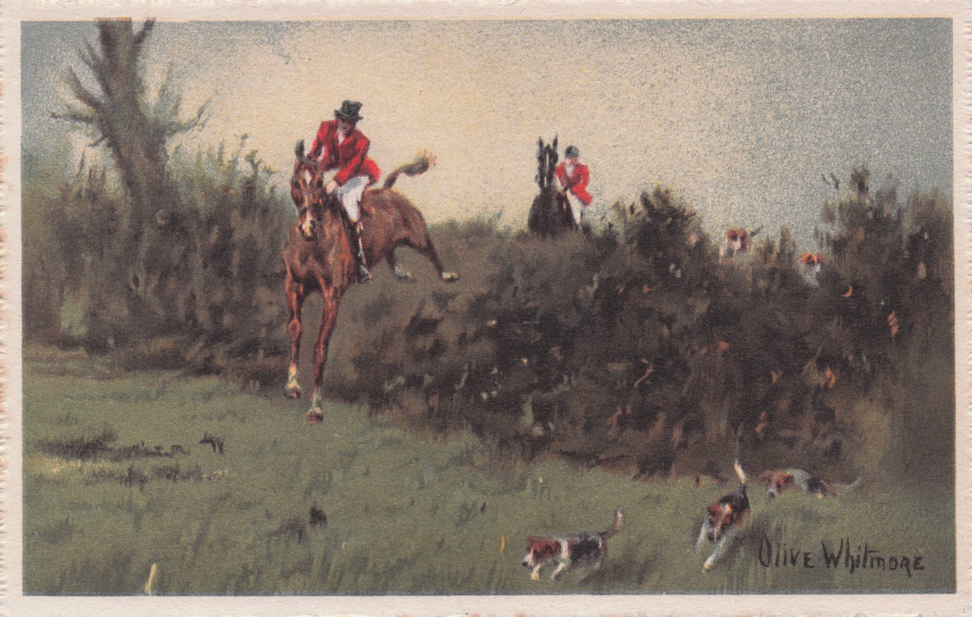 Fearless Horse Jump Fox Hunt & Dogs Old Olive Whitmore Postcard
