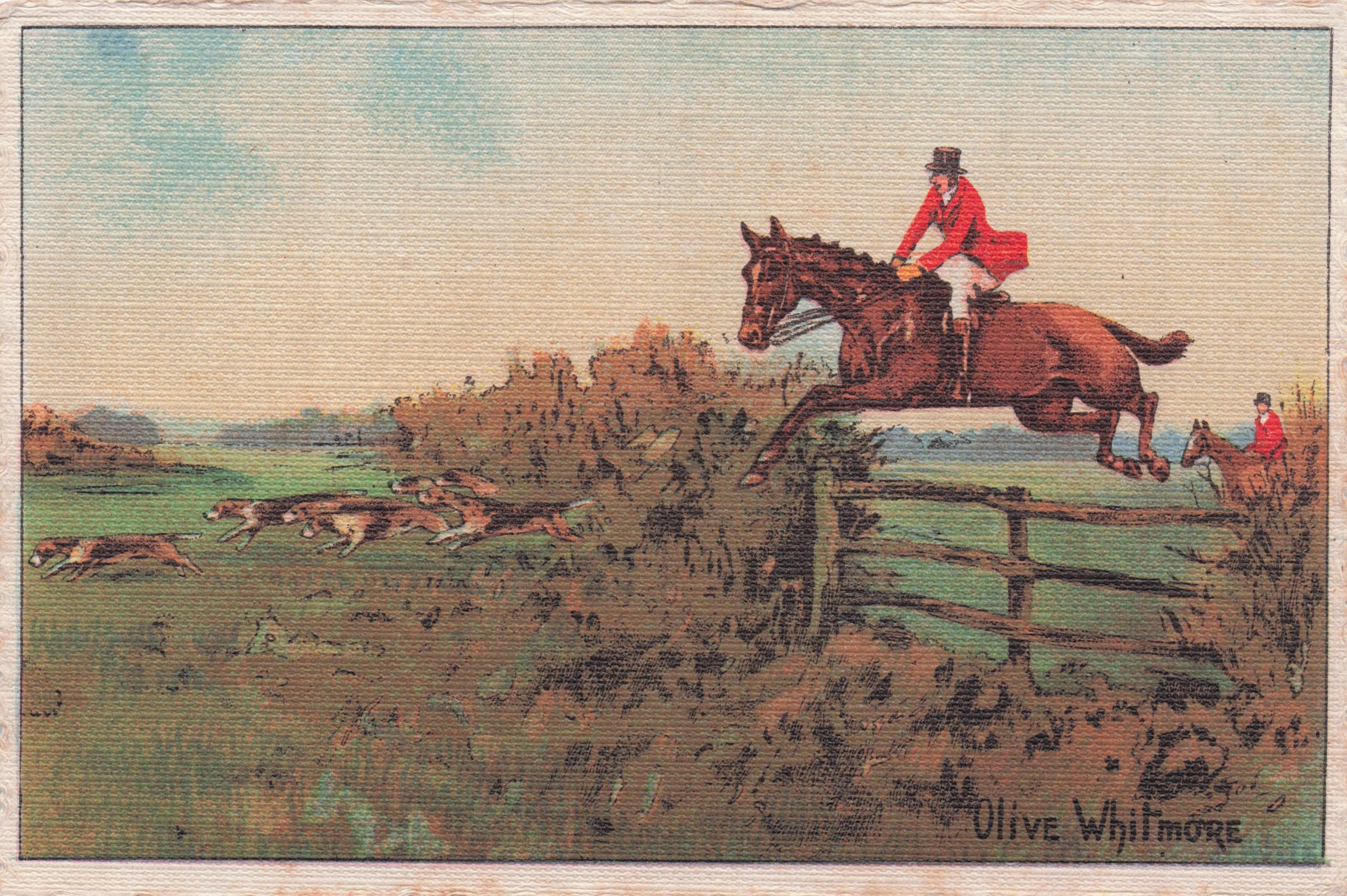 Huge Fox Hunting Fence Leap Horse & Rider Olive Whitmore Postcard