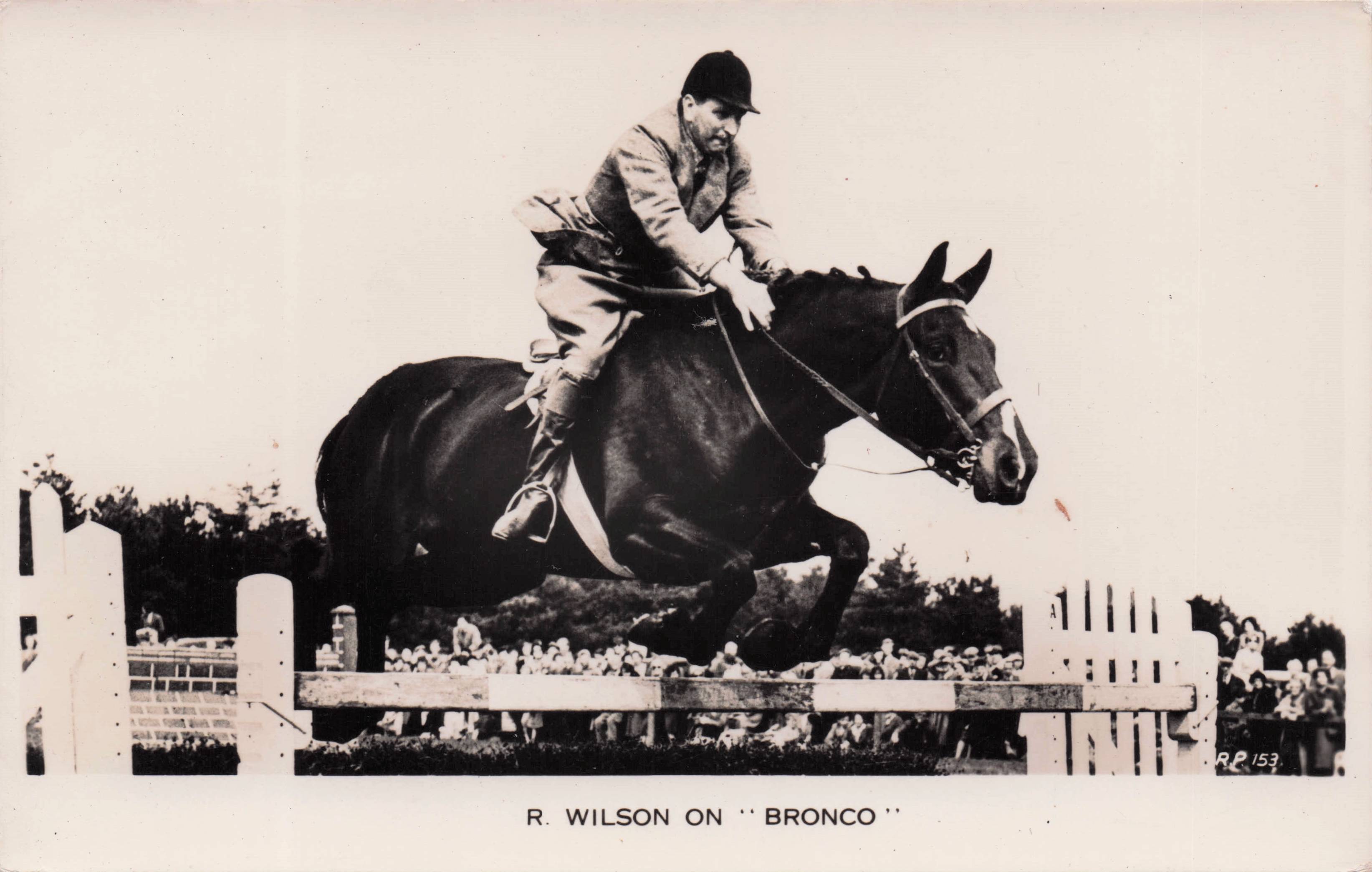R.Wilson On Bronco Horse 1950s TV Showjumping Old Real Photo Postcard