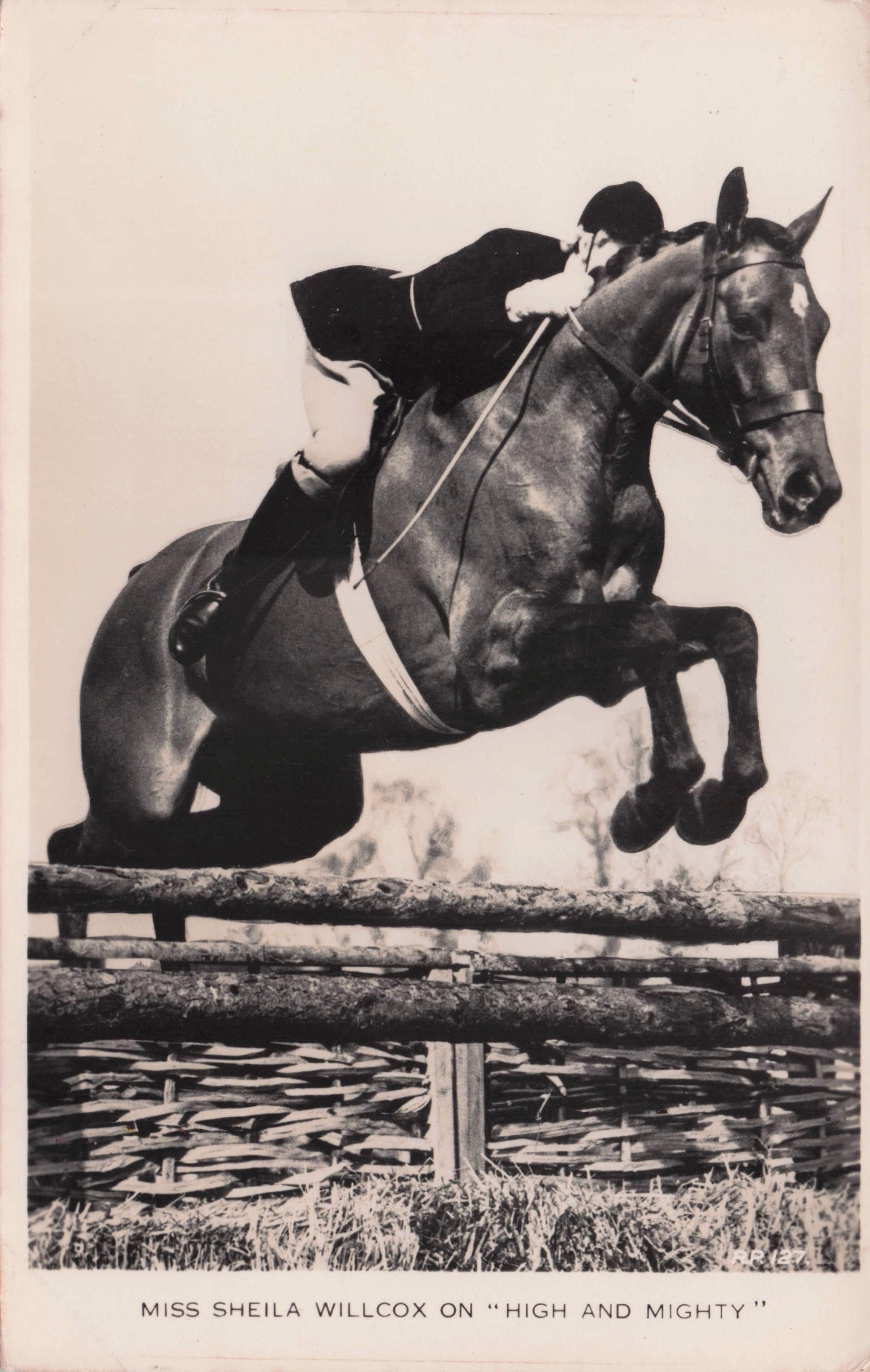 Sheila Willcox On High & Mighty Horse 1950s TV Showjumping Old Postcard