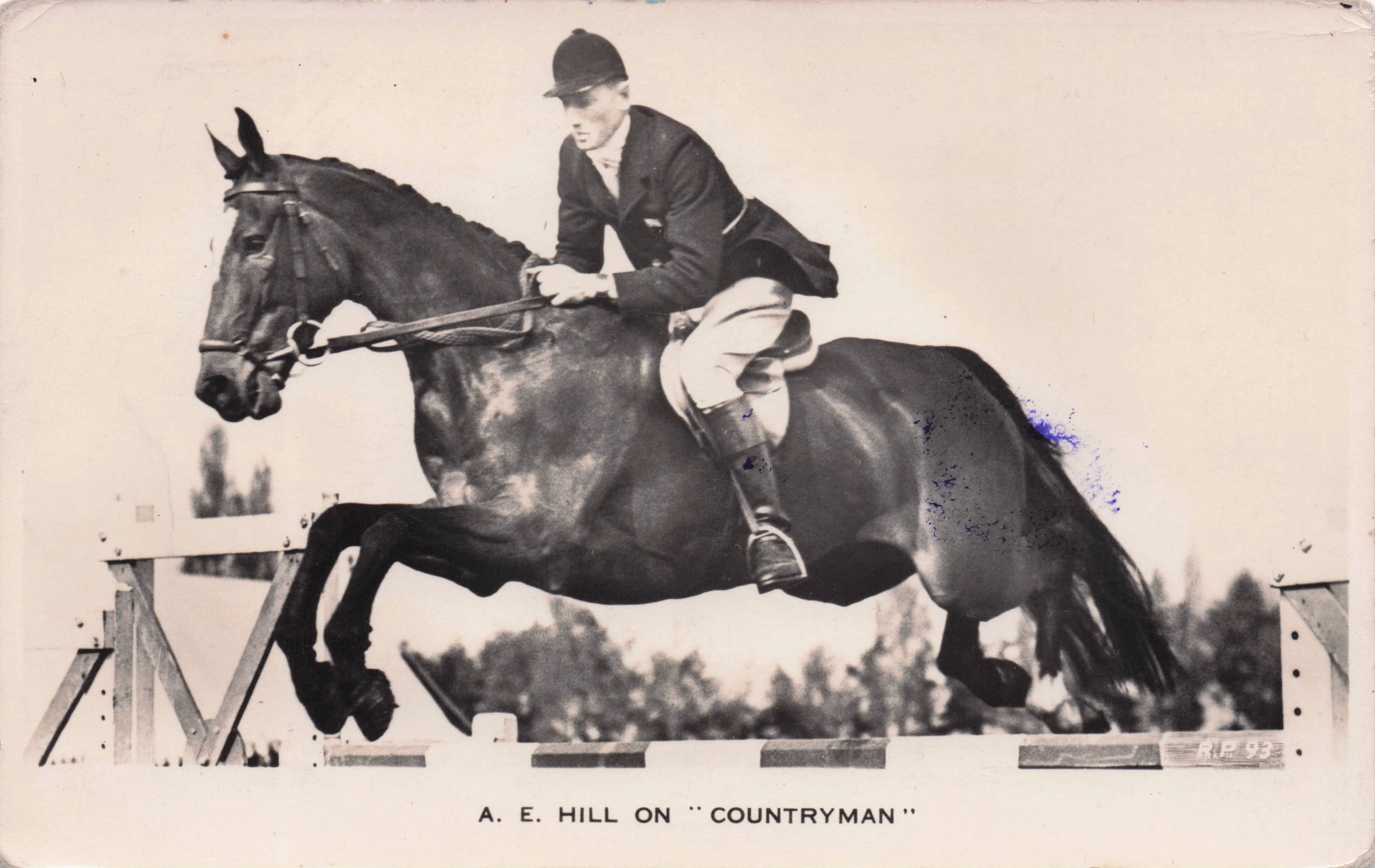 Albert Hill & Countryman Horse 1950s Showjumping Old RPC Postcard