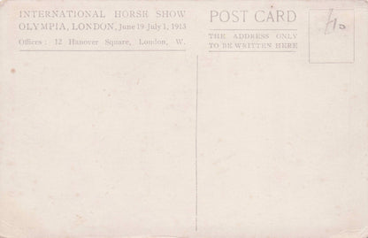 International Horse Show Prehistoric Dinosaur 1913 Old Comic Postcard