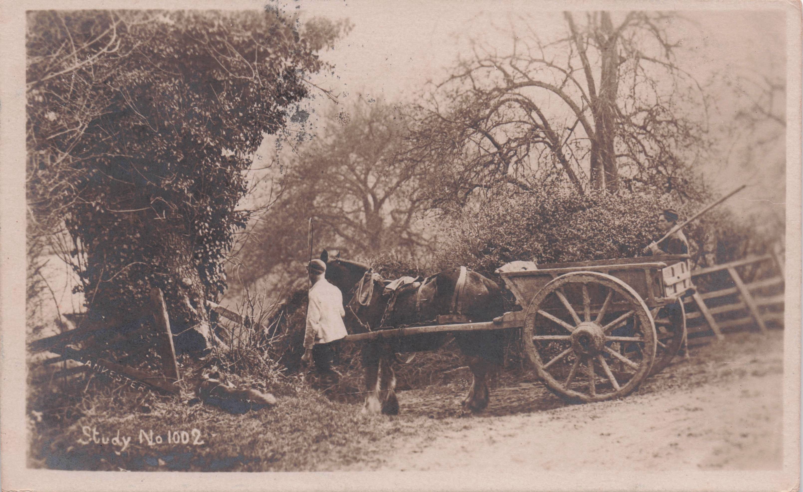 Study 1002 Lankaster & Co Horse Cart in Country Lane Old RPC Postcard