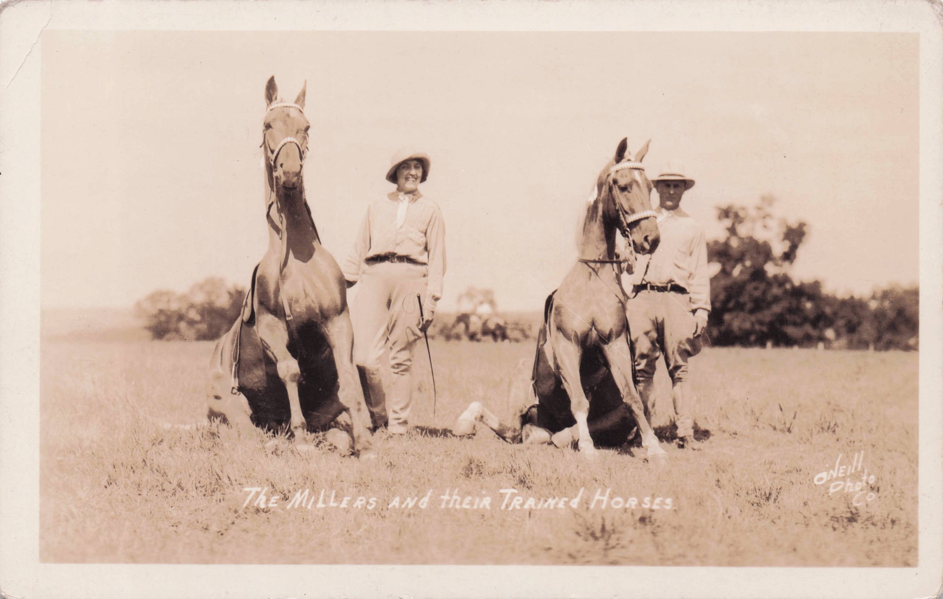 Clyde J Miller Rodeo Cowboy Trained Horses Old Real Photo Postcard