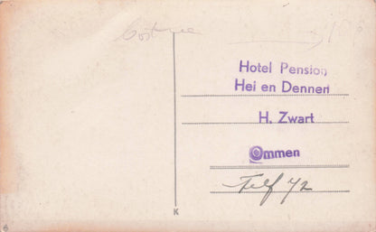 Hotel Pension Hei en Dennen Ommen Holland RPC Advertising Postcard