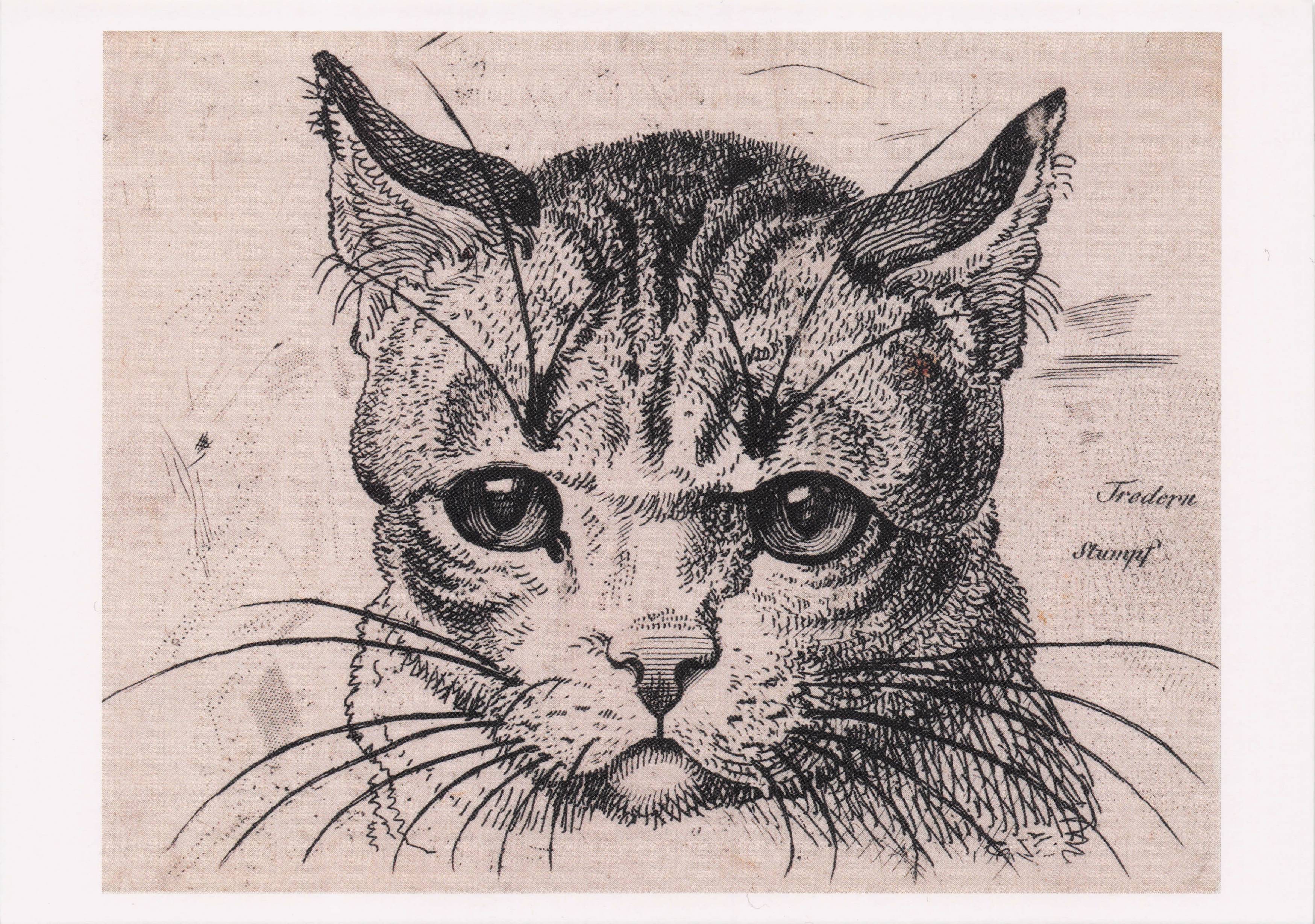 Tredern Stumpf Drawing Of A Cats Head Victorian German Cat Painting Postcard
