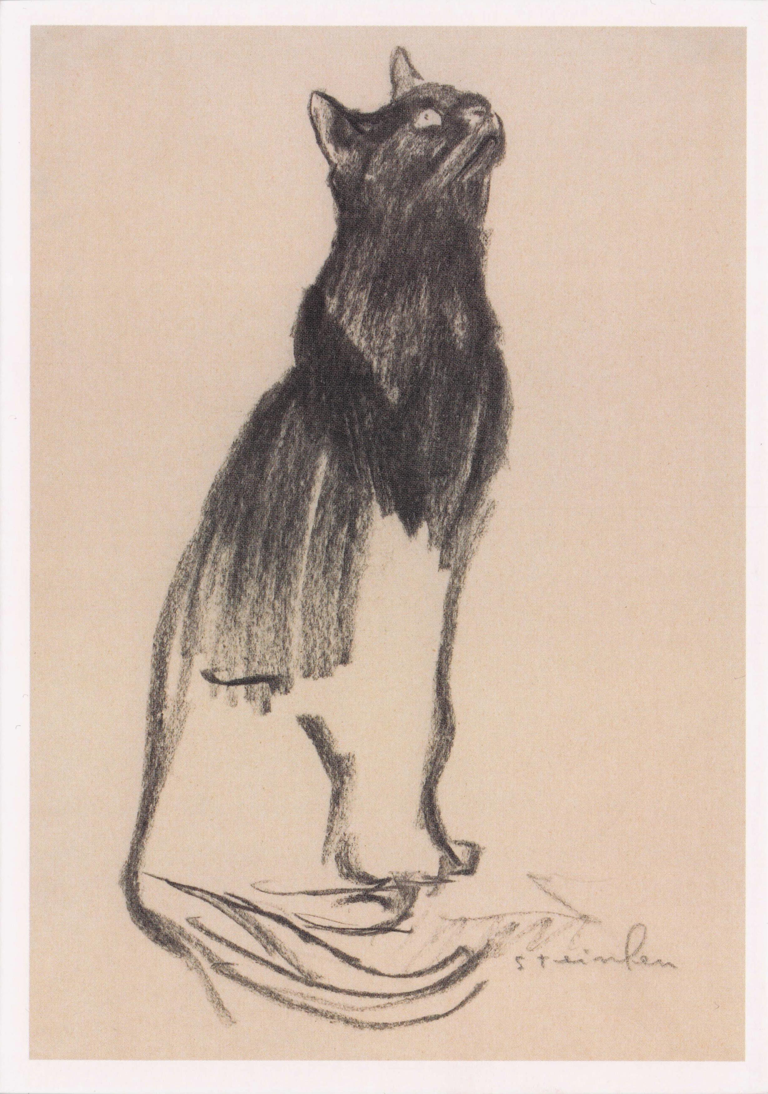 Theophile Steinlen Art Nouveau Study Of A Black Cat Switzerland Painting Postcard