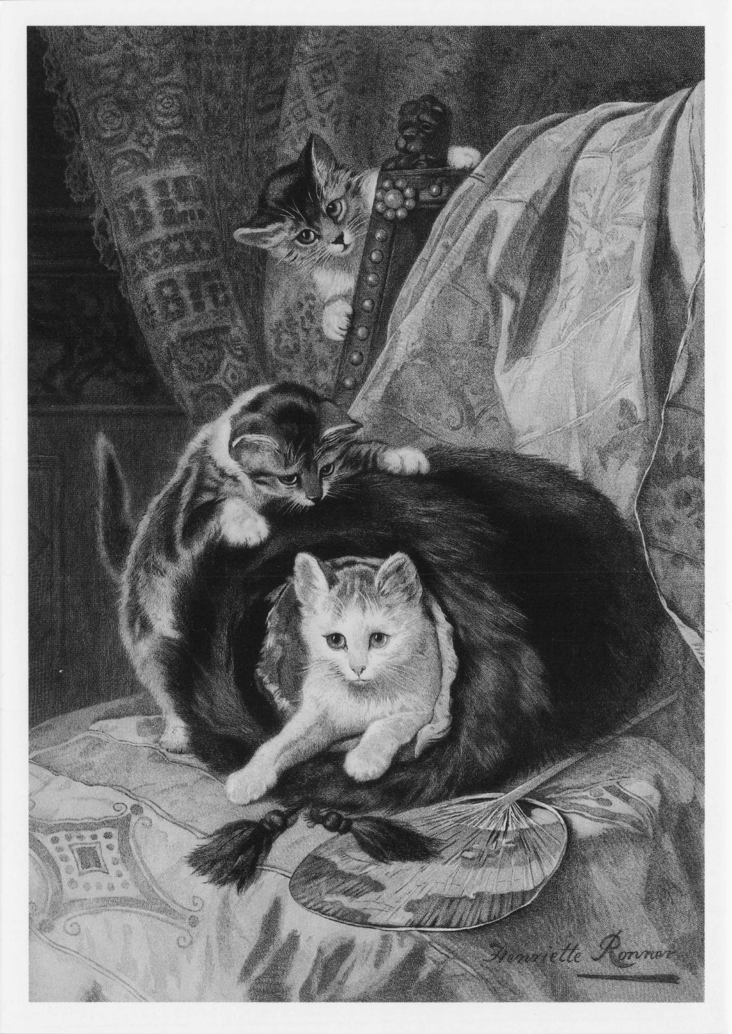 Hide & Seek Cat Henriette Ronner-Knip Belgium Kitten Victorian Painting Postcard