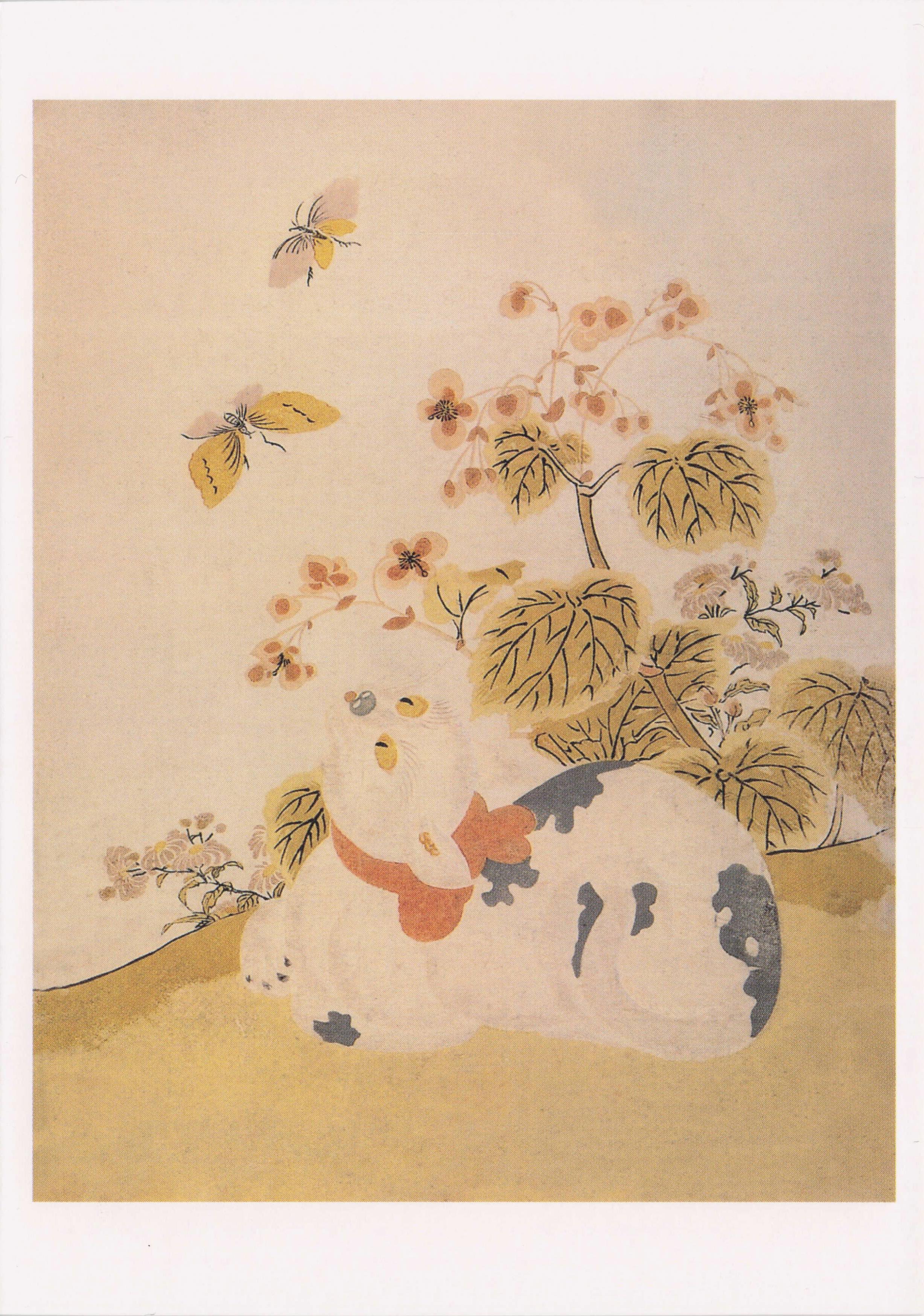 Suzuki Harunobu A Cat Watching Butterflies Edo Period Japanese Painting Postcard