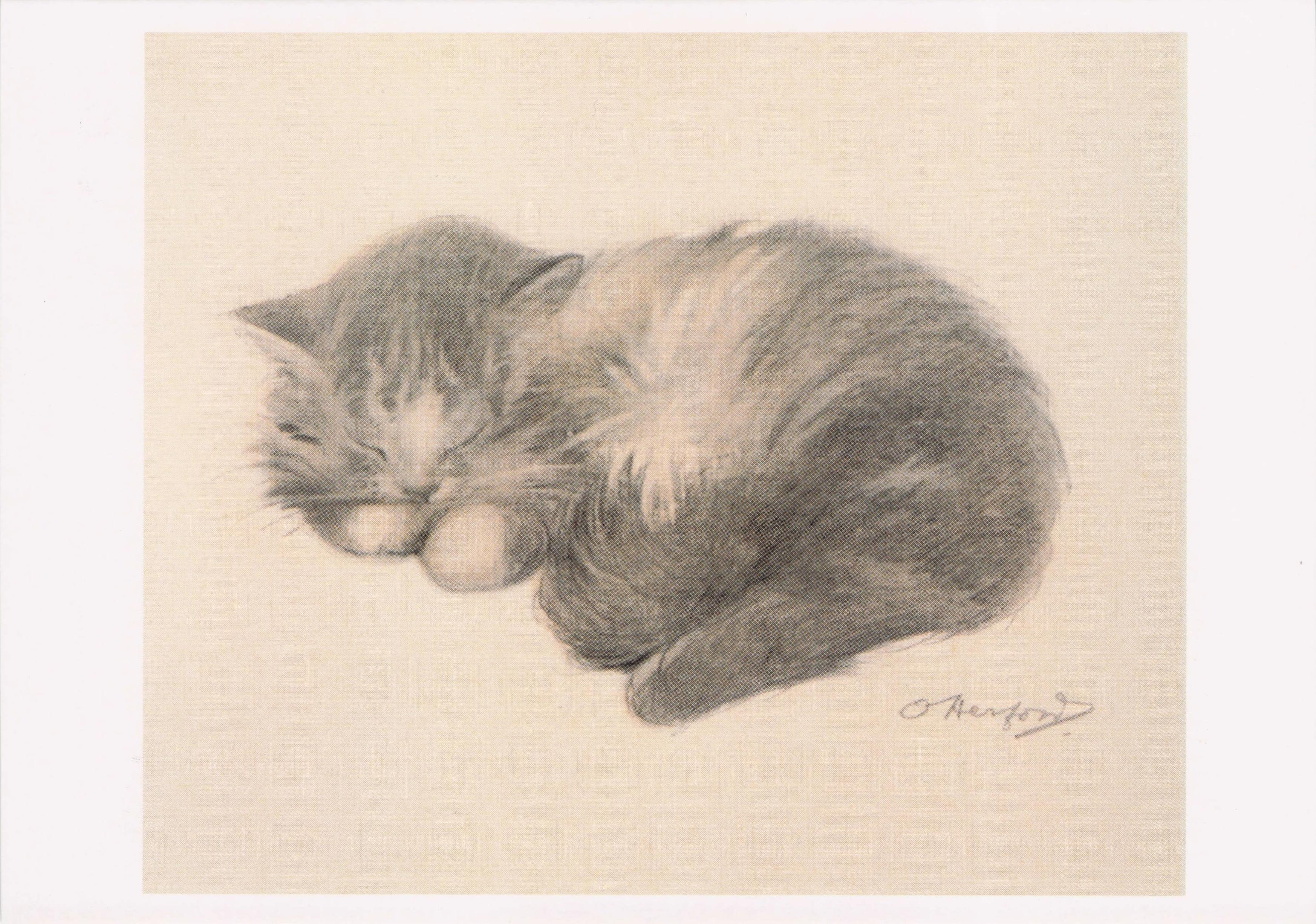 Oliver Herford Sleeping Cat From The Kitten's Garden Of Verses Art Postcard