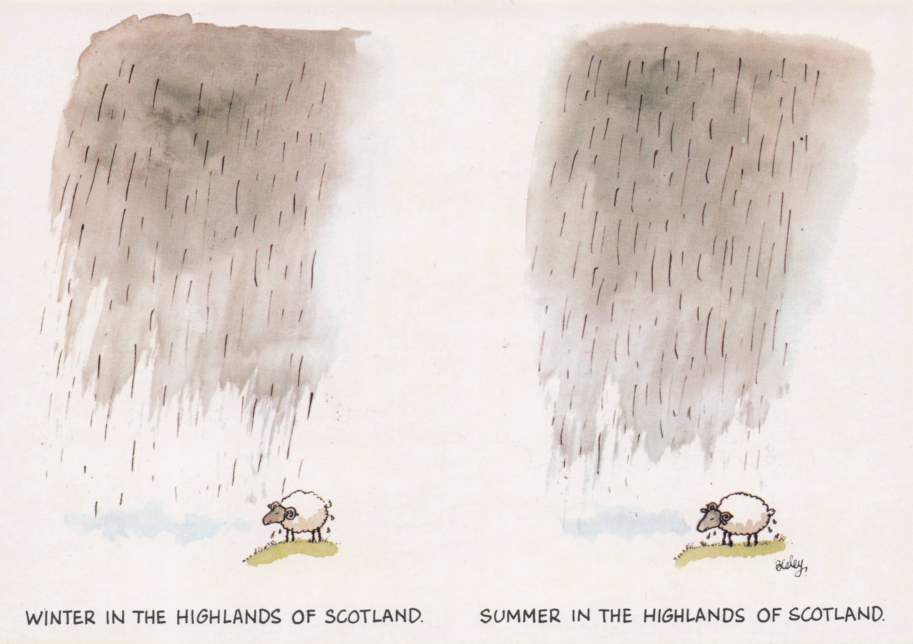 Scottish Winter Highlands Farm Sheep Disaster Weather Scotland Comic Postcard