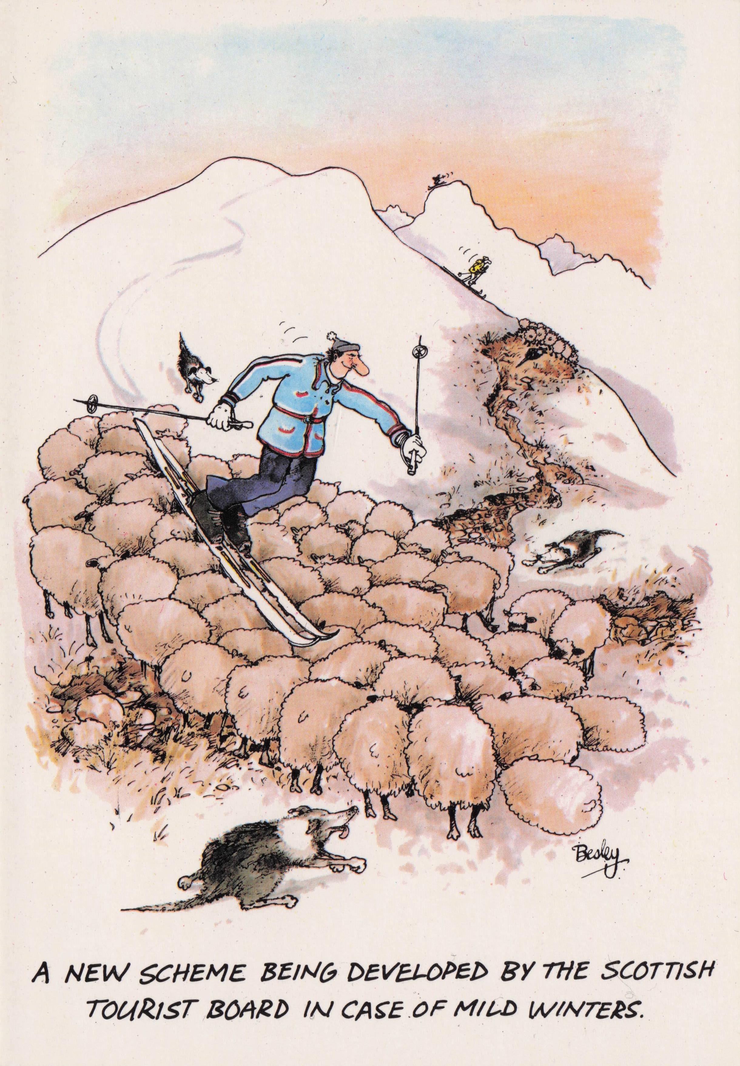 Scottish Tourist Board Dog Skiing On Mountain Sheep Comic Scotland Postcard