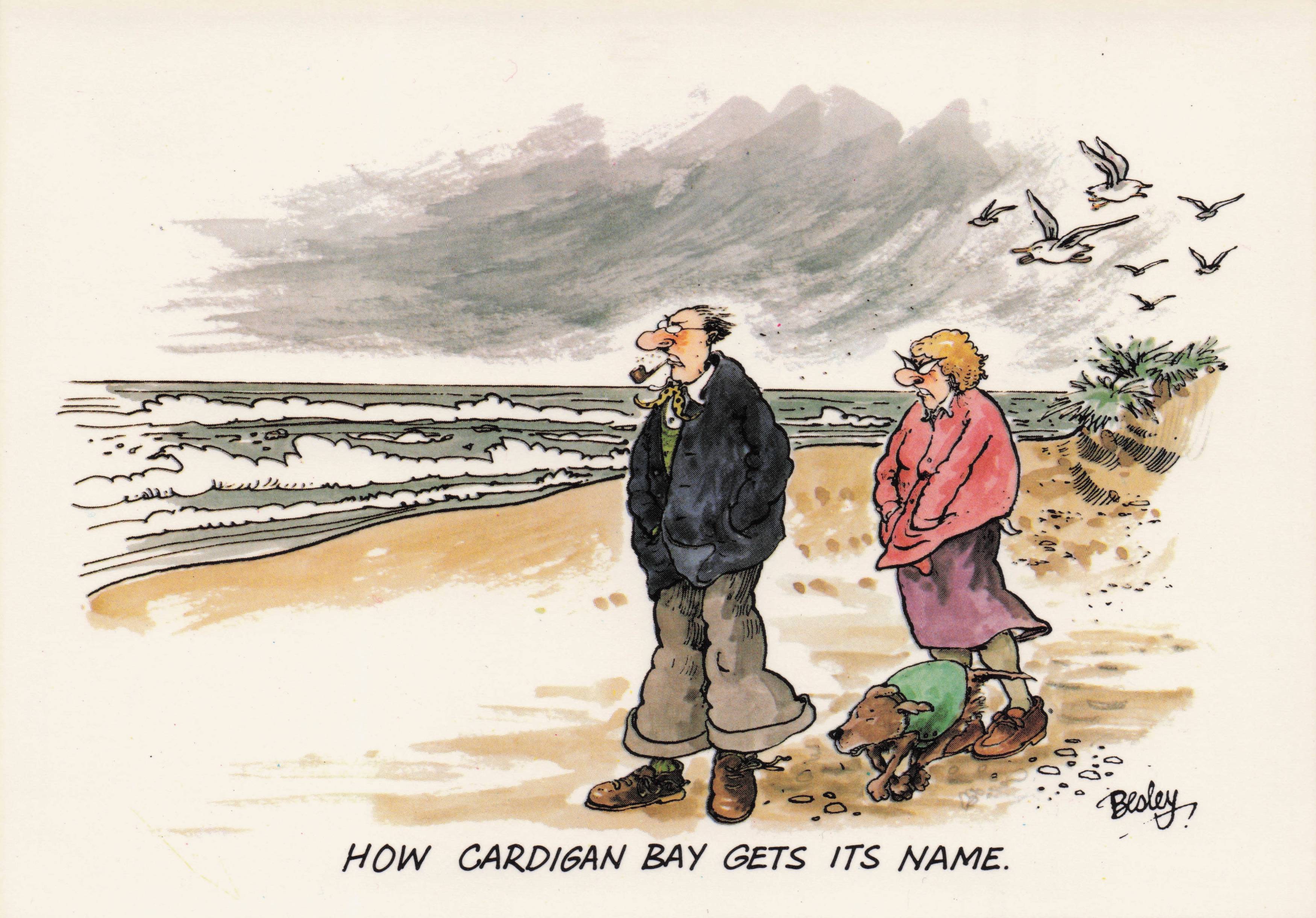 Cardigan Bay Weather Pipe Smoking Historian Welsh Man Wales Comic Postcard