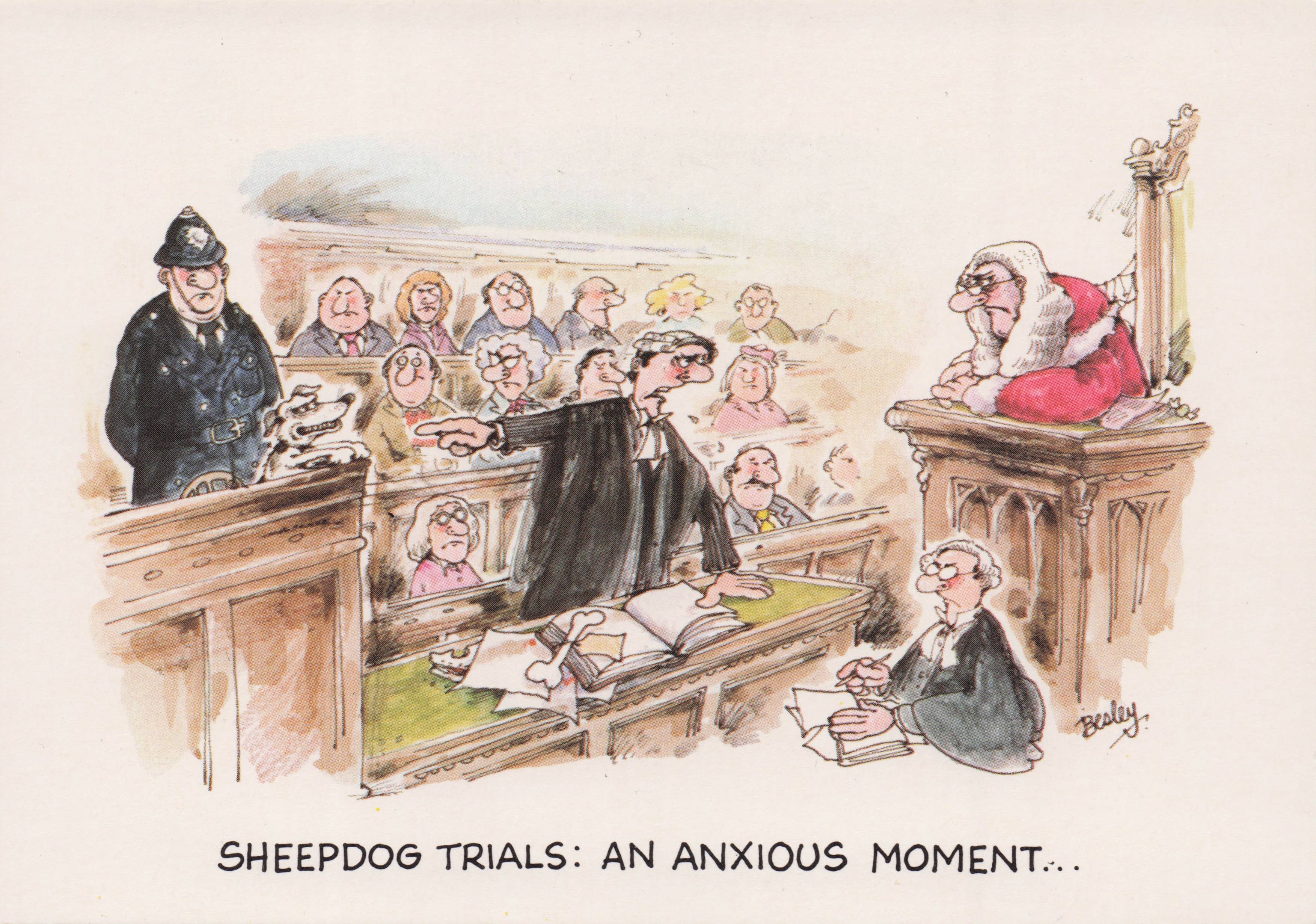 Sheepdog Trials Judge Policeman Legal Disaster Court Case Comic Postcard