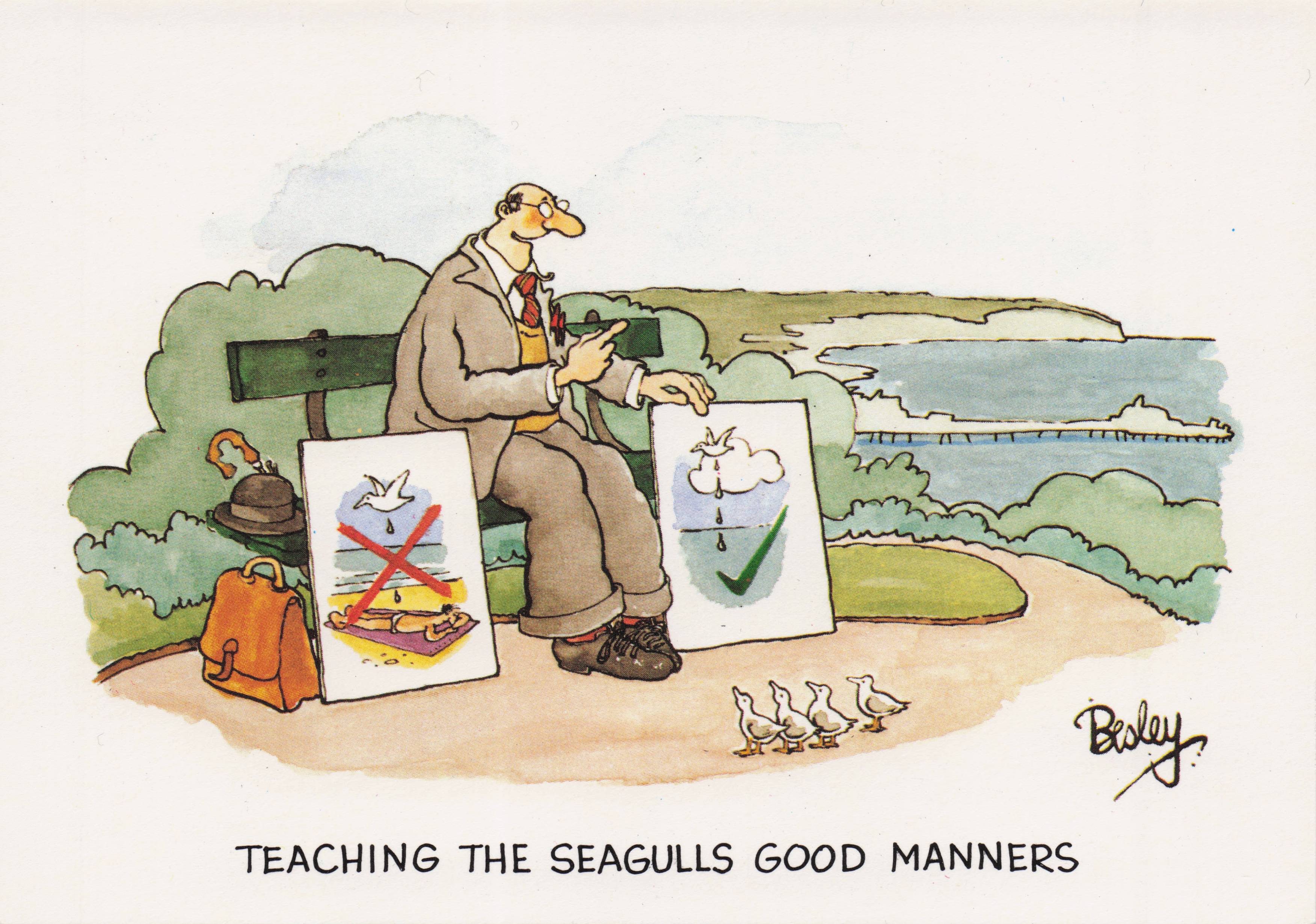 Seagull Bird Toilet Training For Poos Landing Beach Seaside Comic Postcard