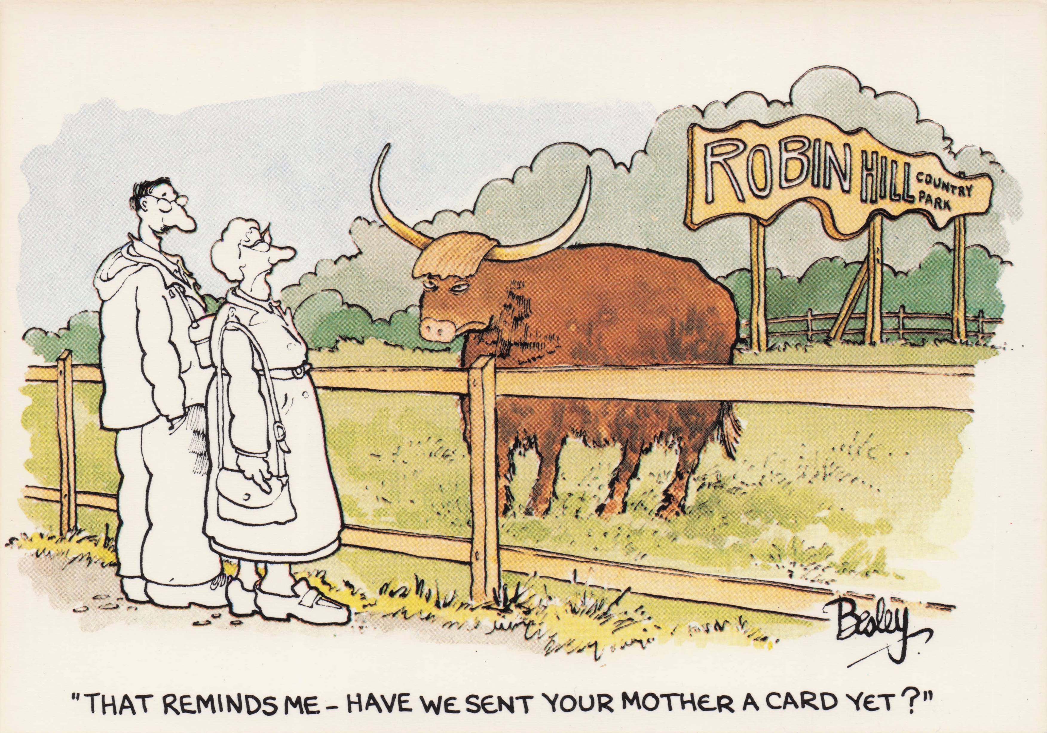 Robin Hill Country Farm Angry Bull White As Ghost Holiday Comic Postcard