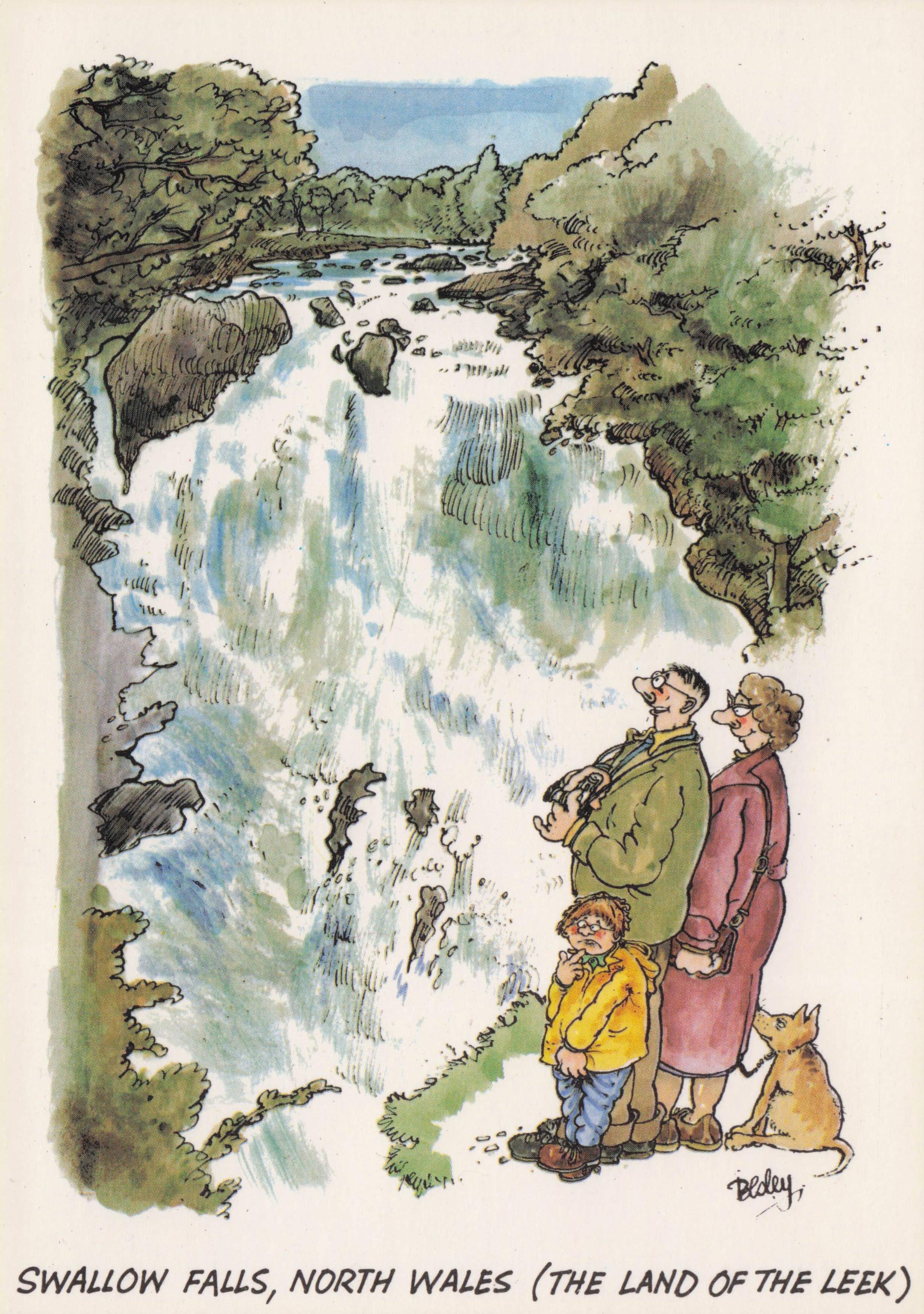 Tourist With Old Camera at North Wales Swallow Falls Welsh Comic Postcard