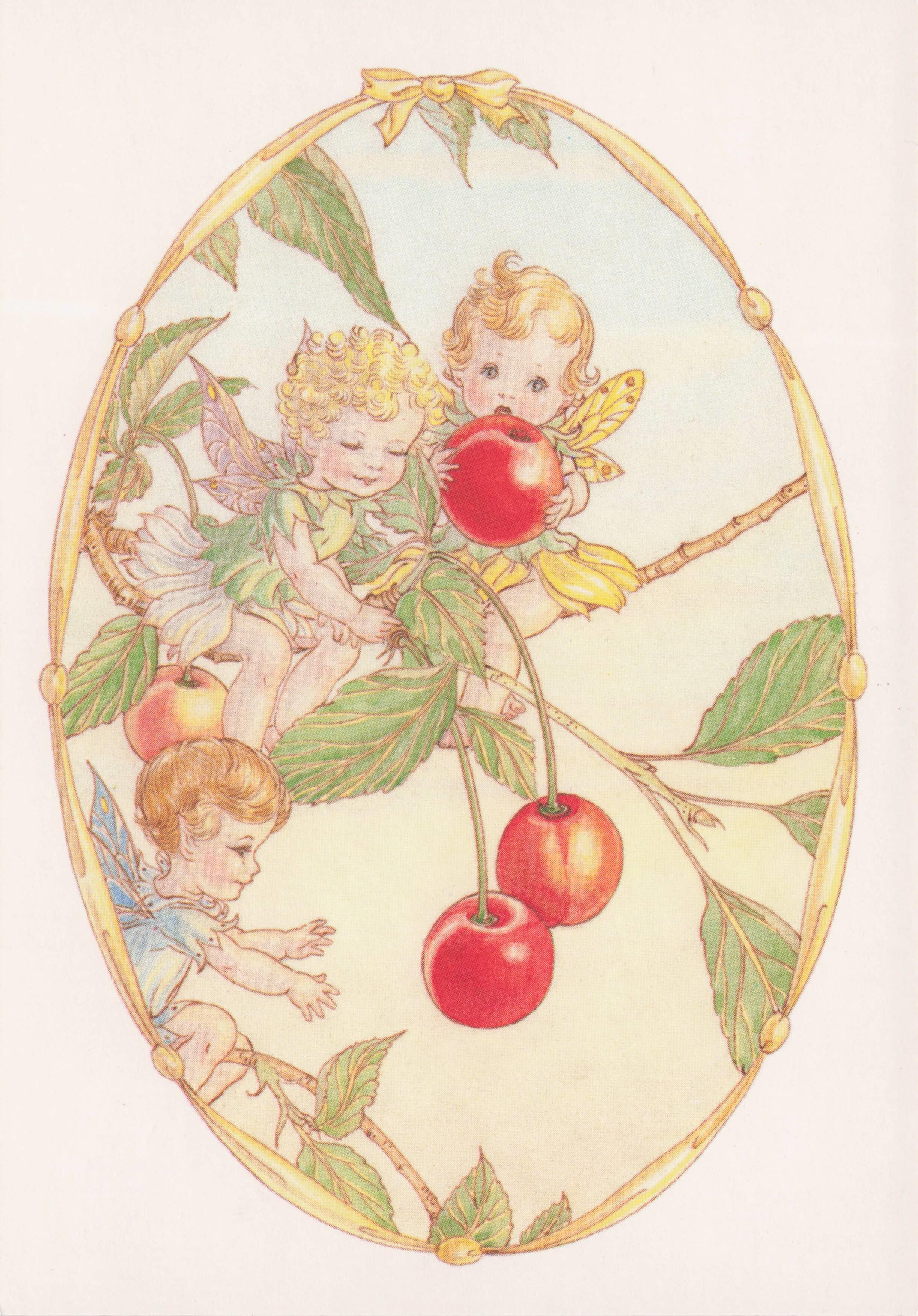 Cherry Ripe Fruit Fairy World Collection Marjorie Dawson Rare Postcard